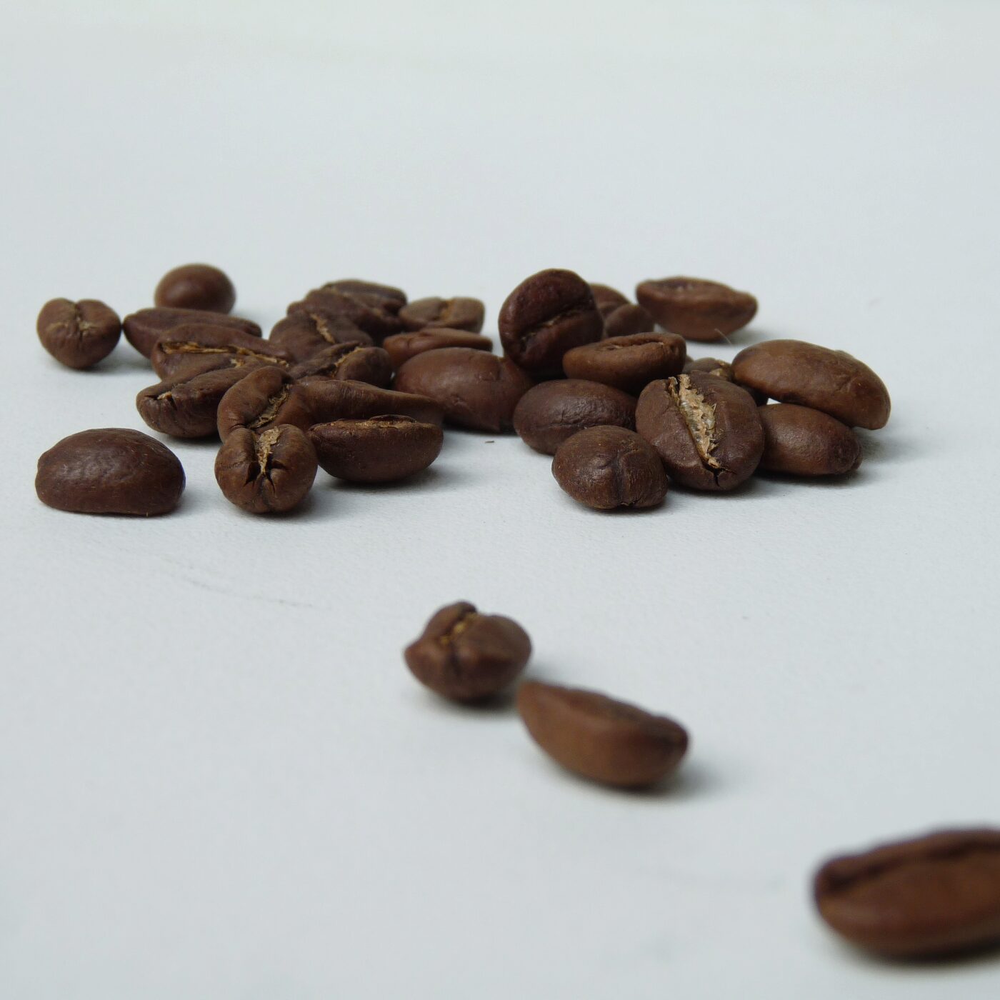 Monseigneur Aubry - le café grillé Monseigneur Aubry - le café grillé