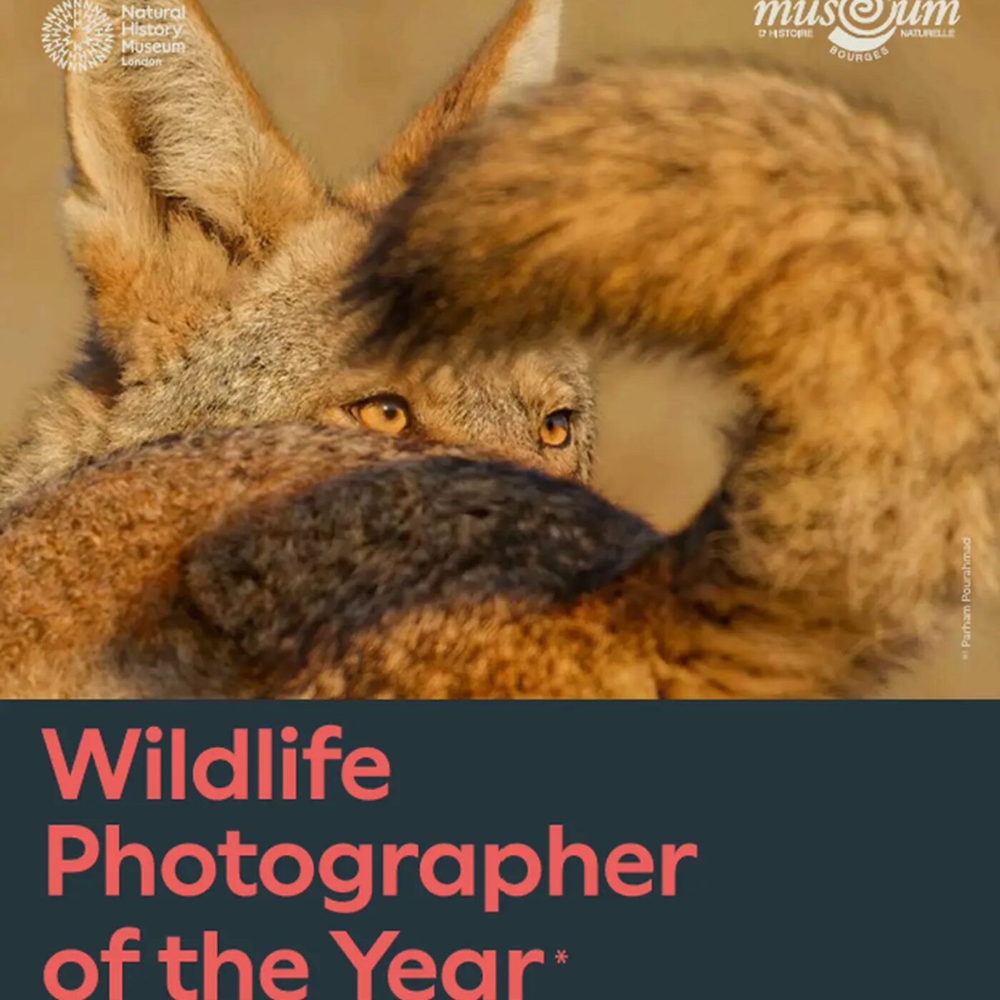 Si les œuvres parlaient