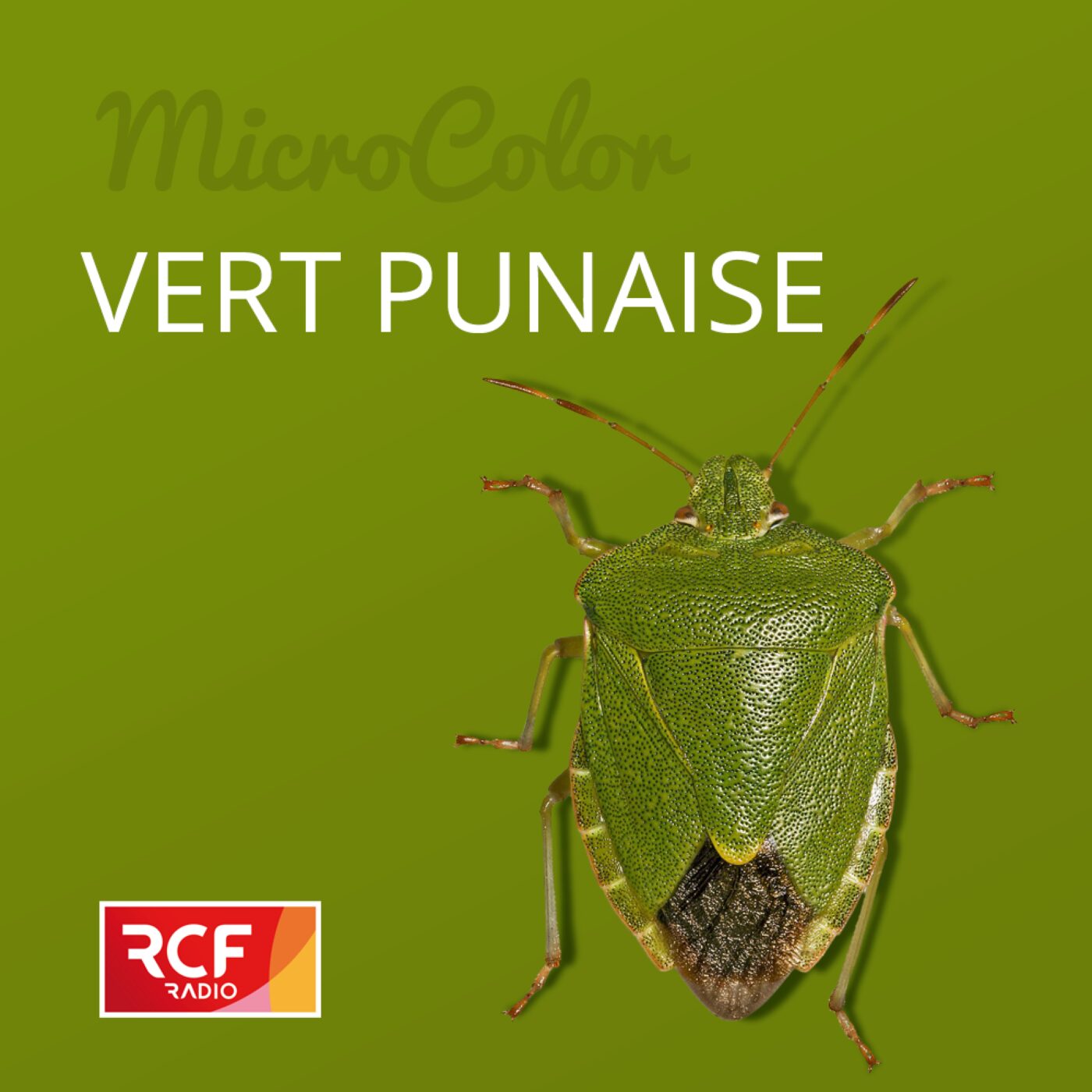 Vert punaise episode artwork