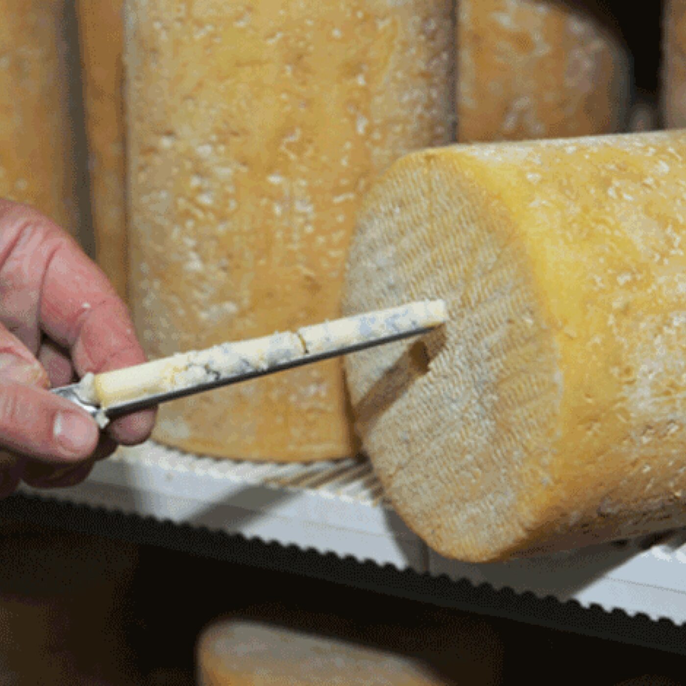 L\'invité de la rédaction (Saint-Etienne)