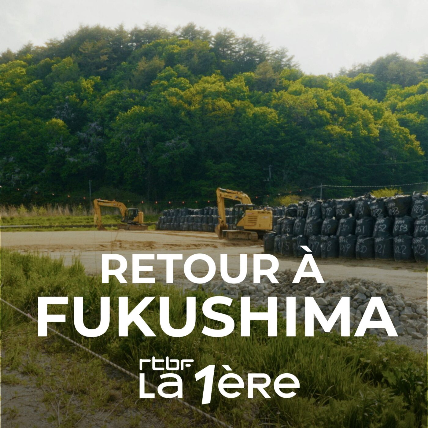 EP2 | Reconstruire pour revenir ? episode artwork