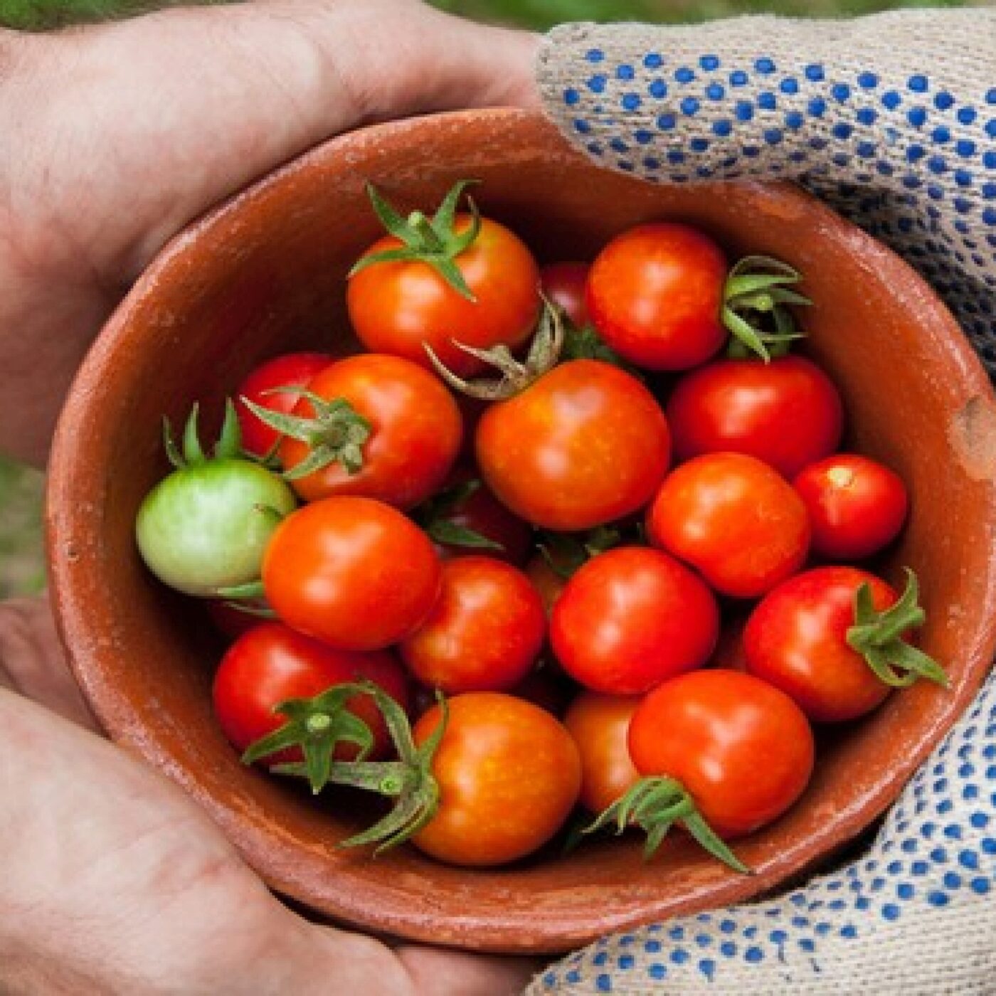 Les soeurs de Pradines, une école du partage