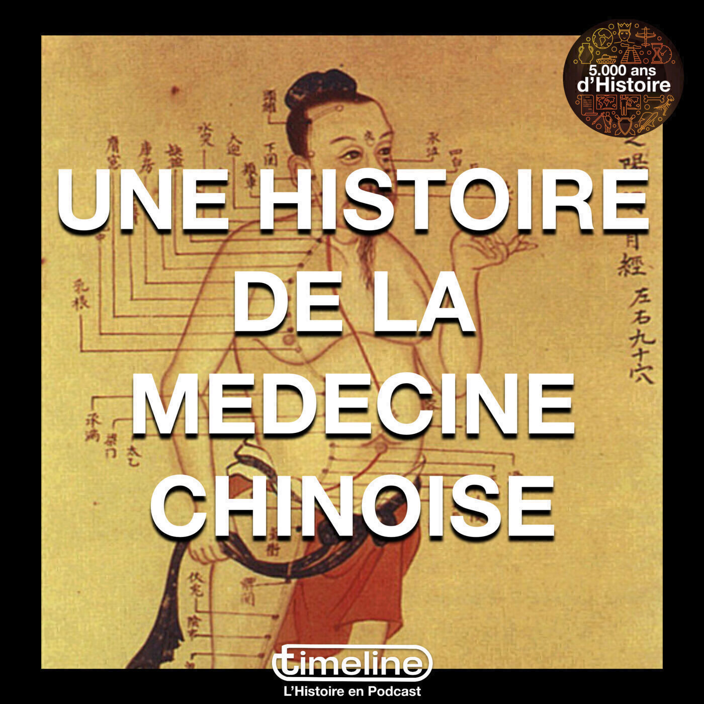 Une histoire de la médecine chinoise - 6/6 et fin