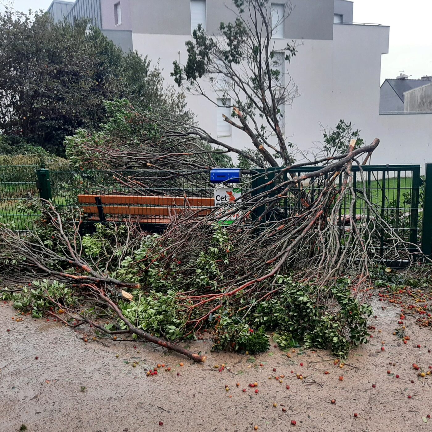 Grand invité régional