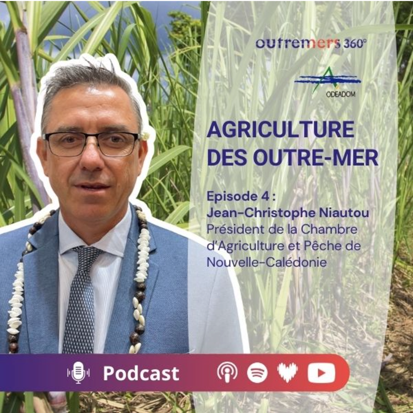 Episode 04_ Jean-Christophe Niautou - Président de la Chambre d'Agriculture et Pêche de Nouvelle-Calédonie episode artwork