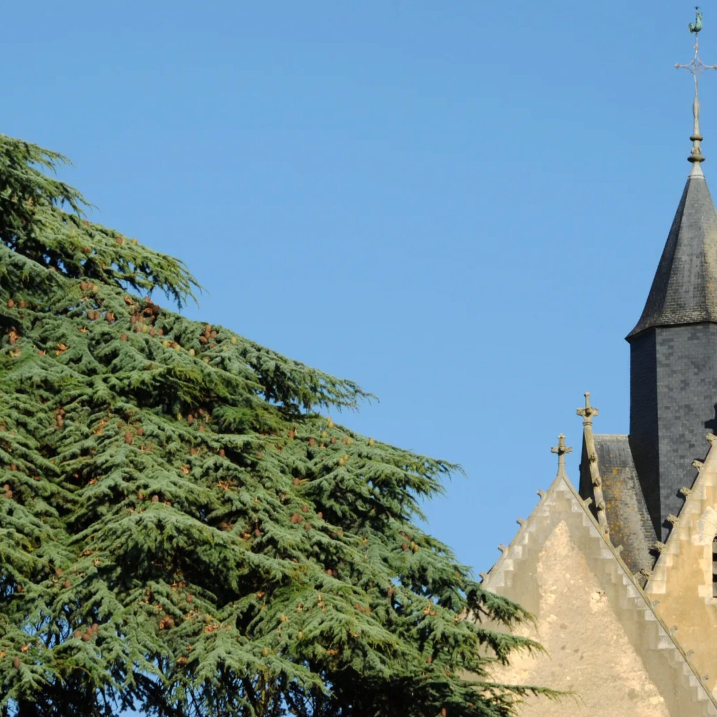 Récits de nos églises