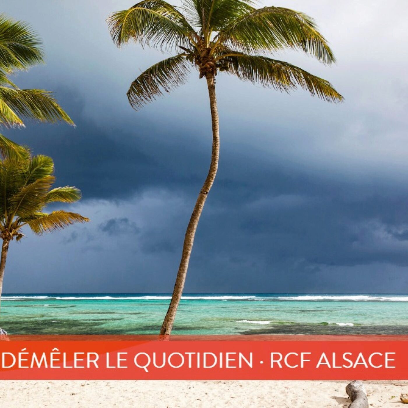 Polychrome, pour démêler le quotidien