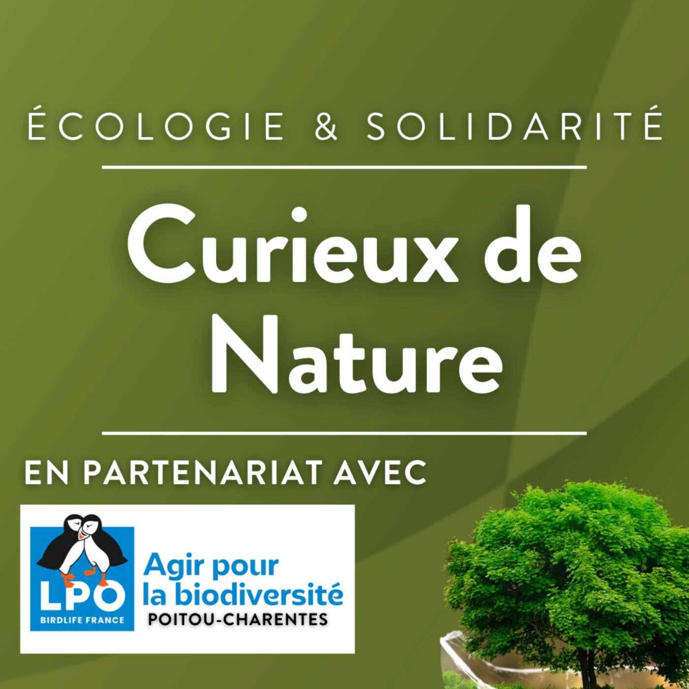 Curieux de nature
