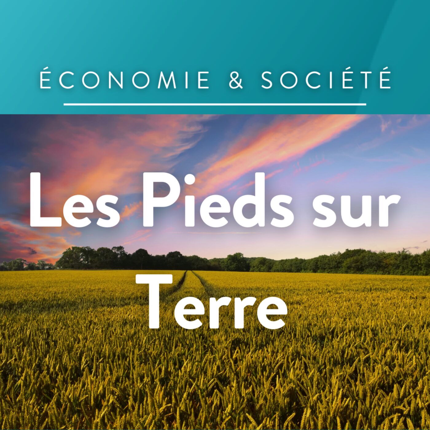 Les Pieds Sur Terre