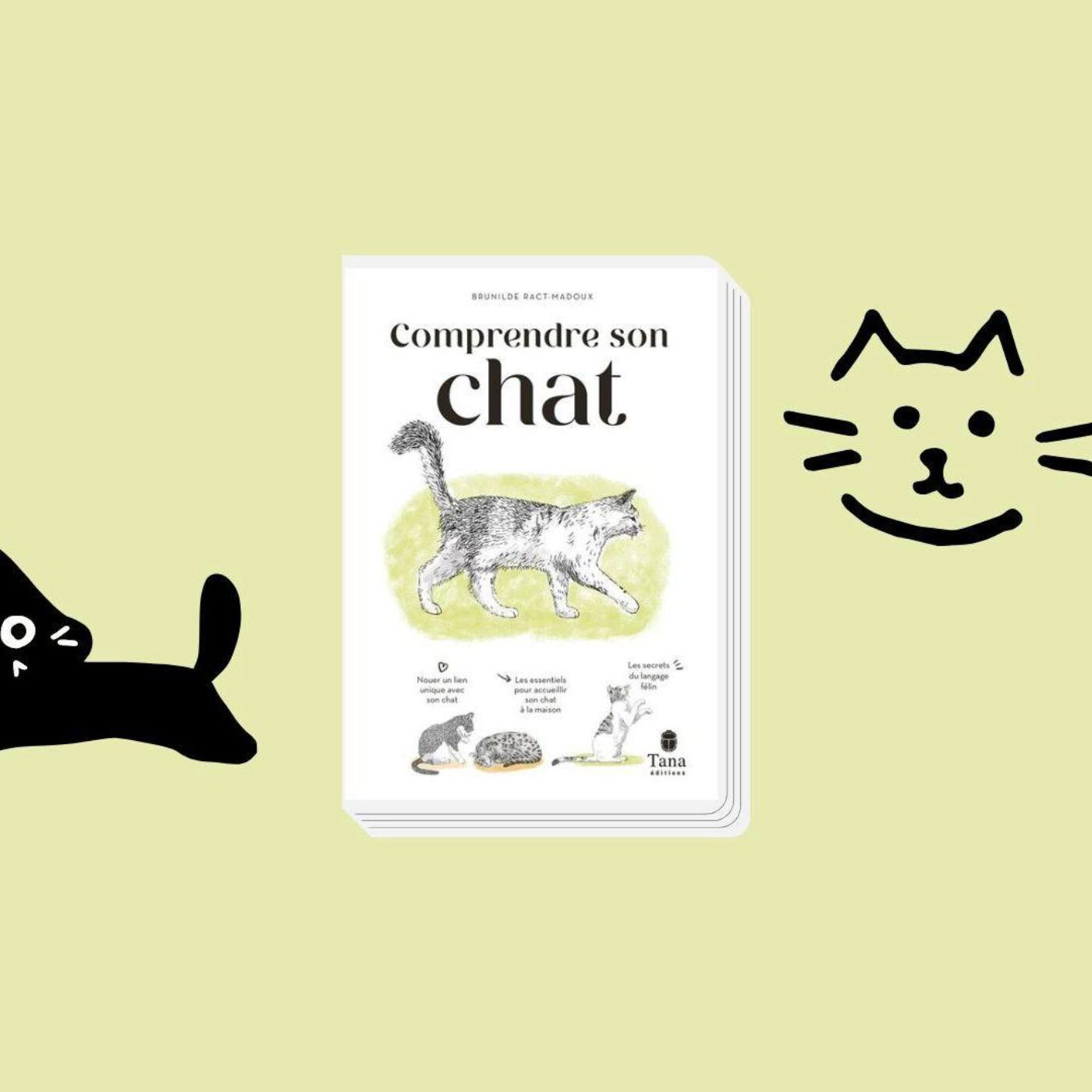 L'agriculture au Néolithique, retirer une tumeur et comprendre son chat