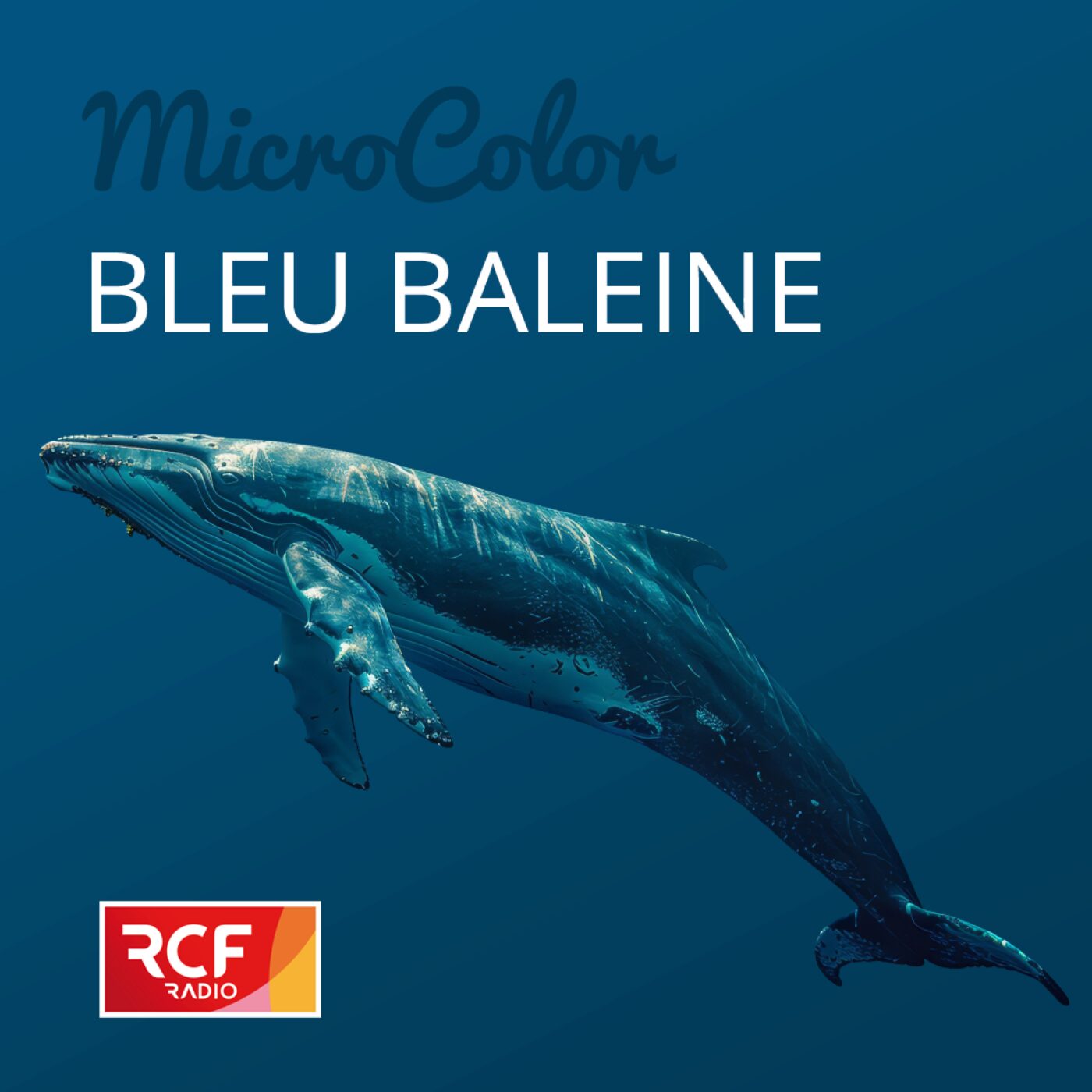 Bleu baleine episode artwork