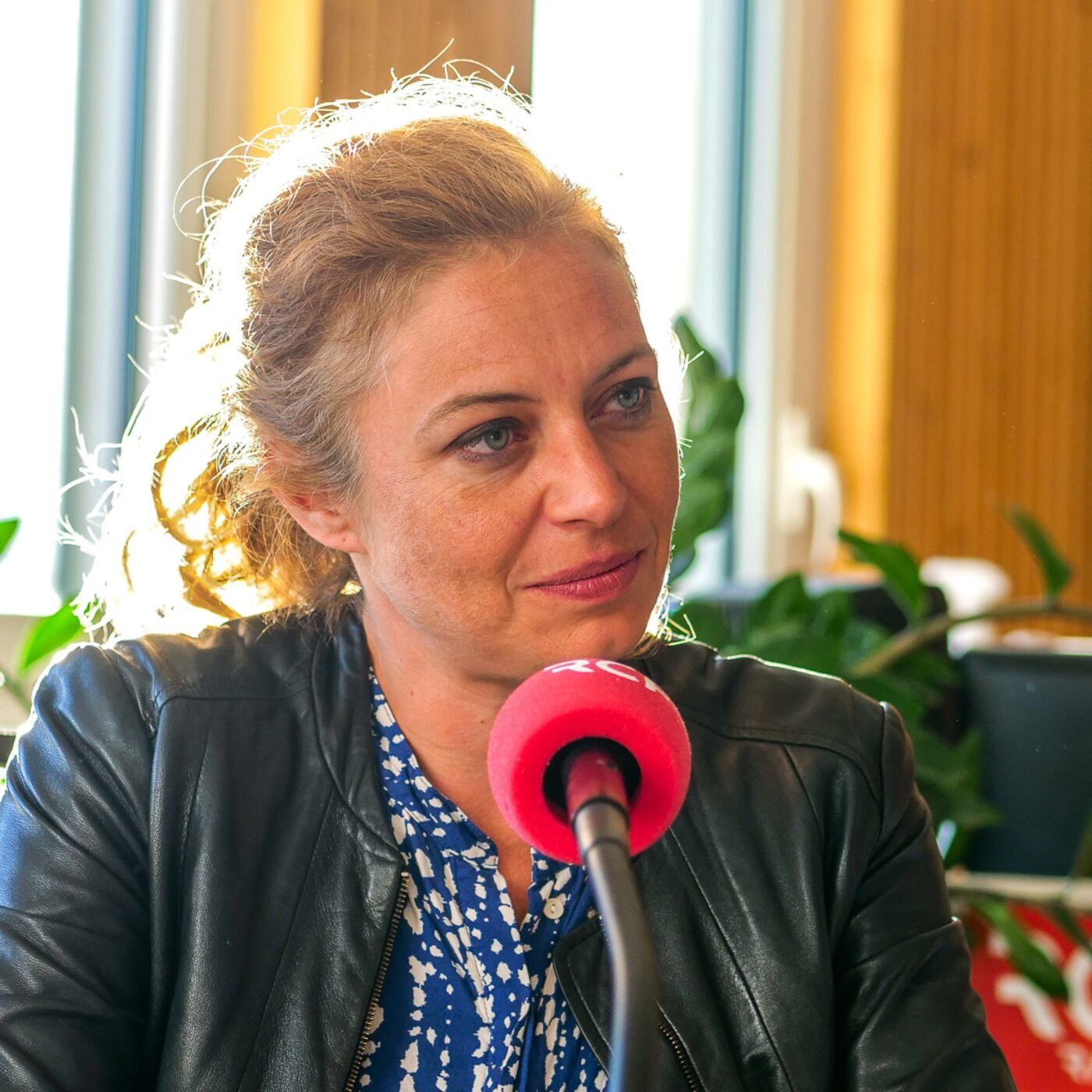 Loi Duplomb : pourquoi la députée du Rhône Blandine Brocard a voté pour episode artwork