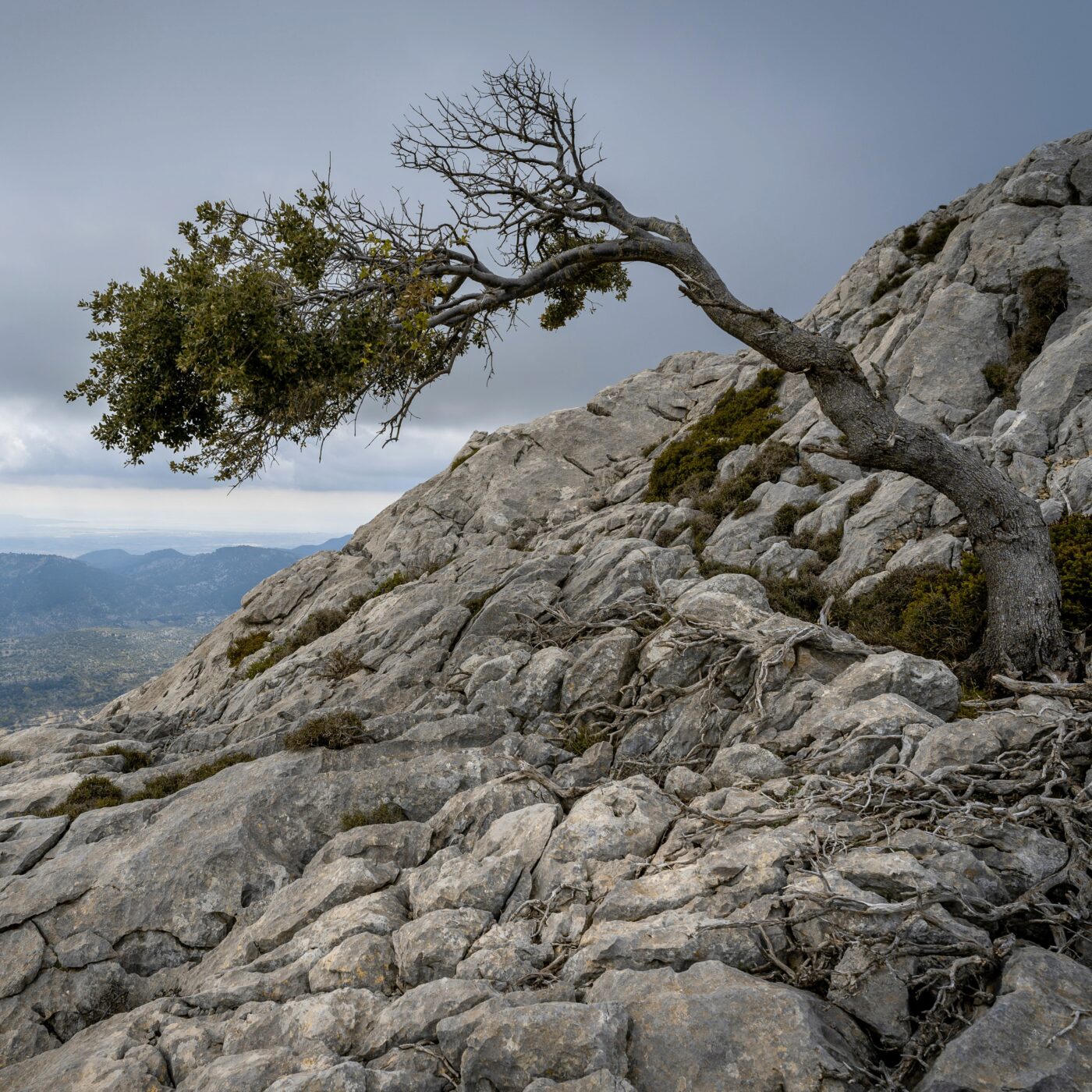Les Agitateurs de neurones