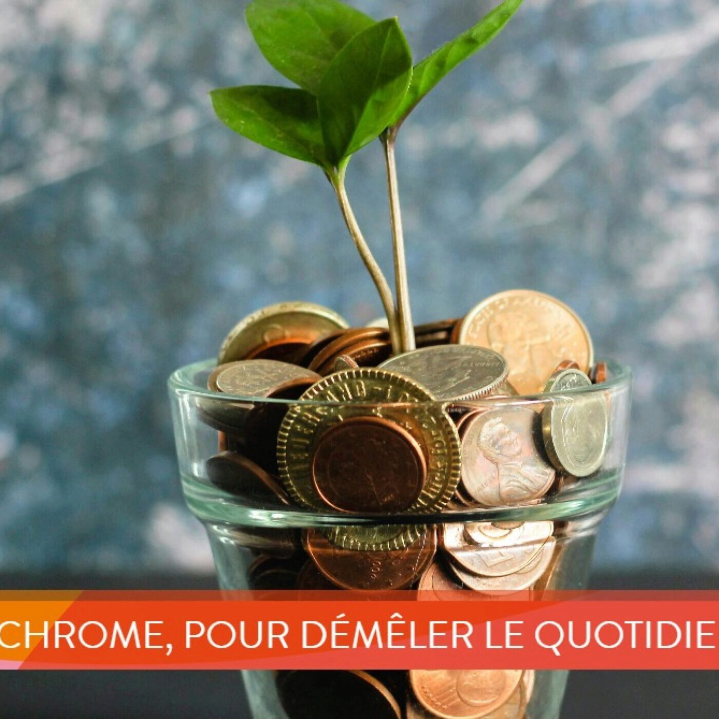 Polychrome, pour démêler le quotidien