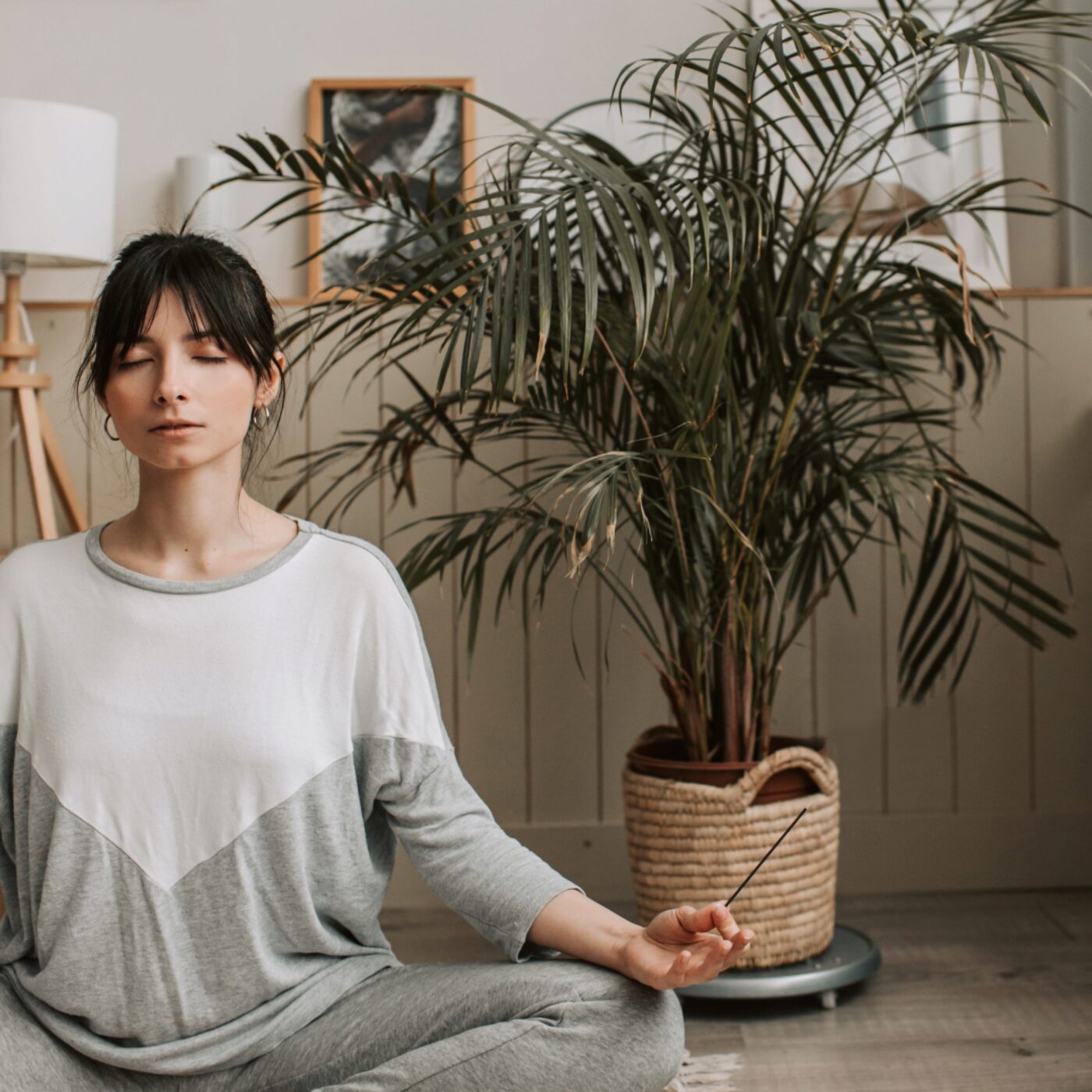 Polychrome, pour mieux vivre