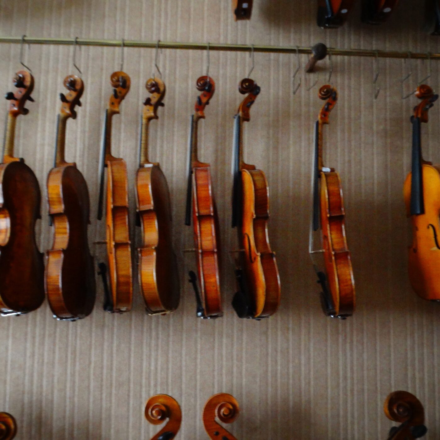 Luthier, un métier d'art d'avenir ? Épisode 5 episode artwork