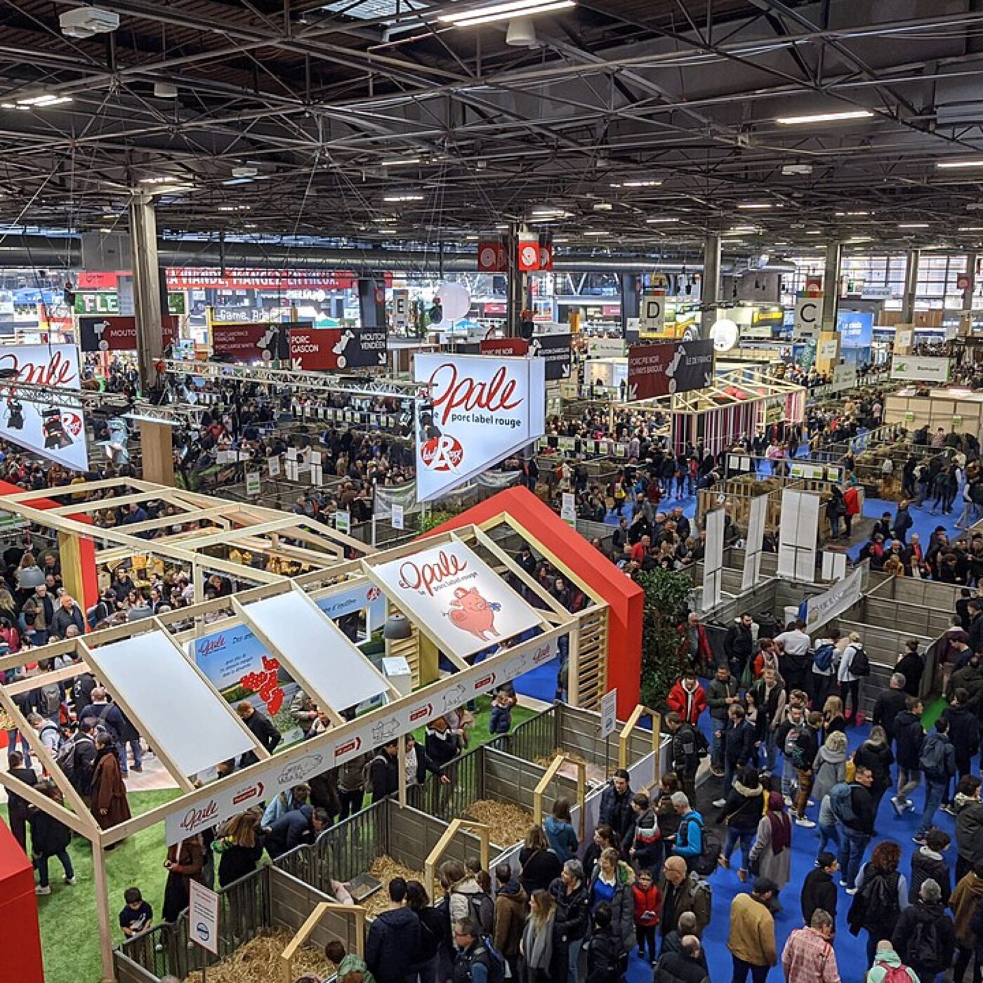 L\'histoire de la région · RCF Alsace