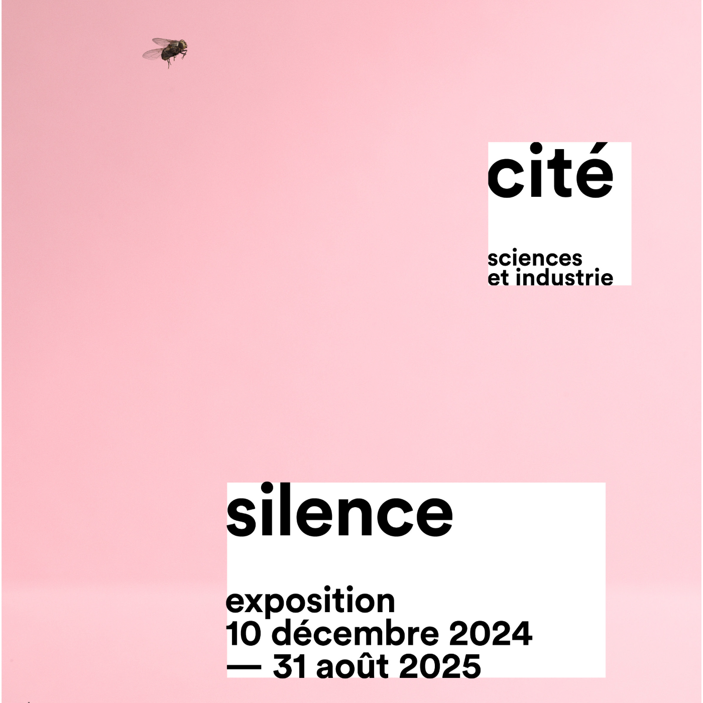 Nova Y Va : à la Cité des Sciences, l'expérience du Silence