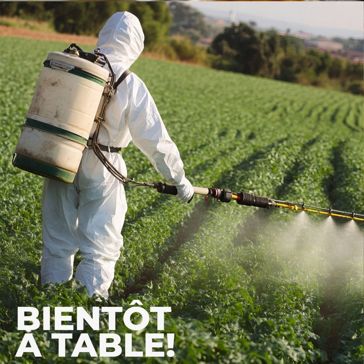 Agriculture intensive et demain?