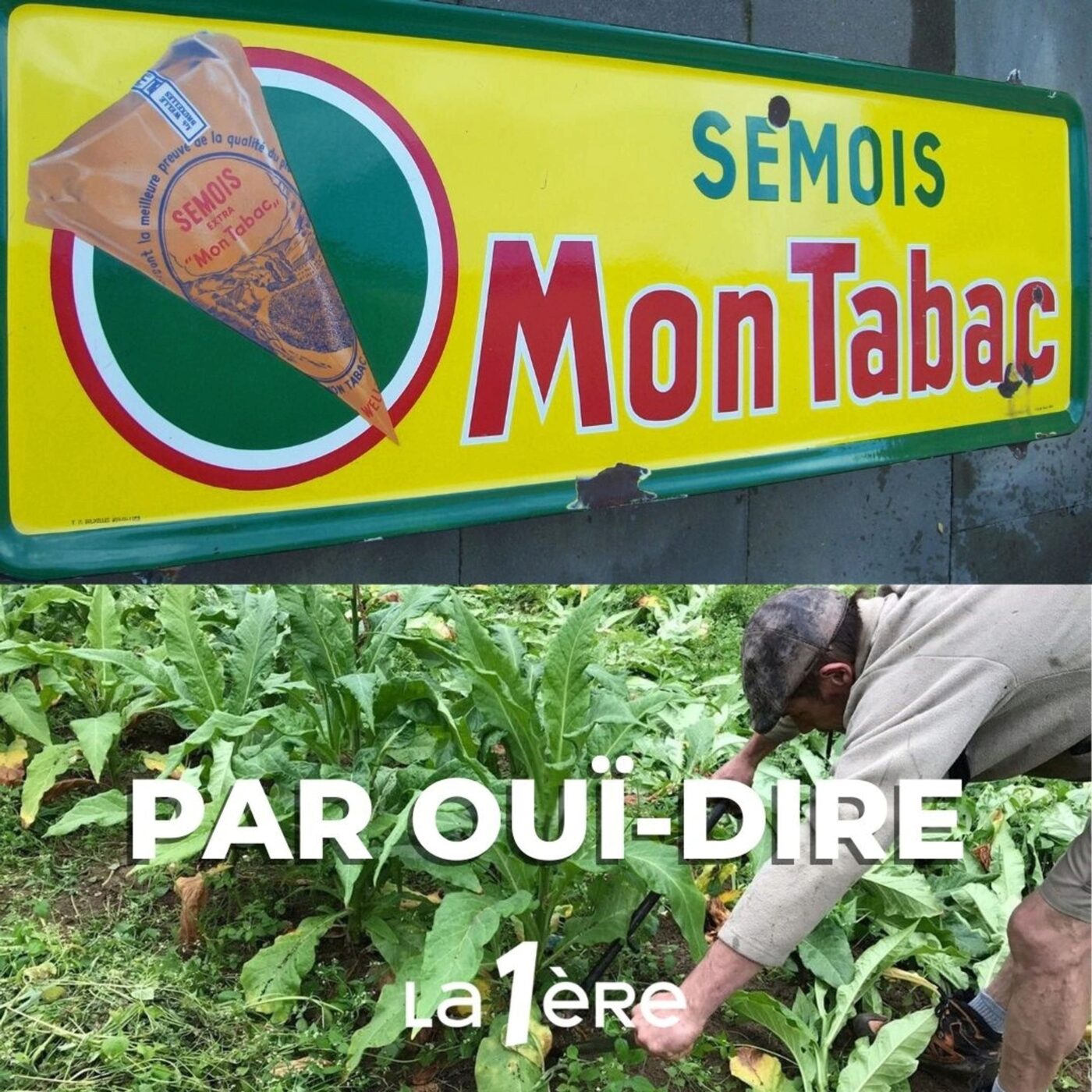 Derniers signaux de fumée, le tabac en Semois
