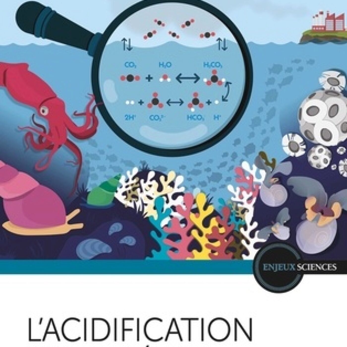 Fabrice Pernet :"il y a eu des épisodes d'acidification des océans dans le passé mais qui étaient cent fois plus lents qu'aujourd'hui" episode artwork