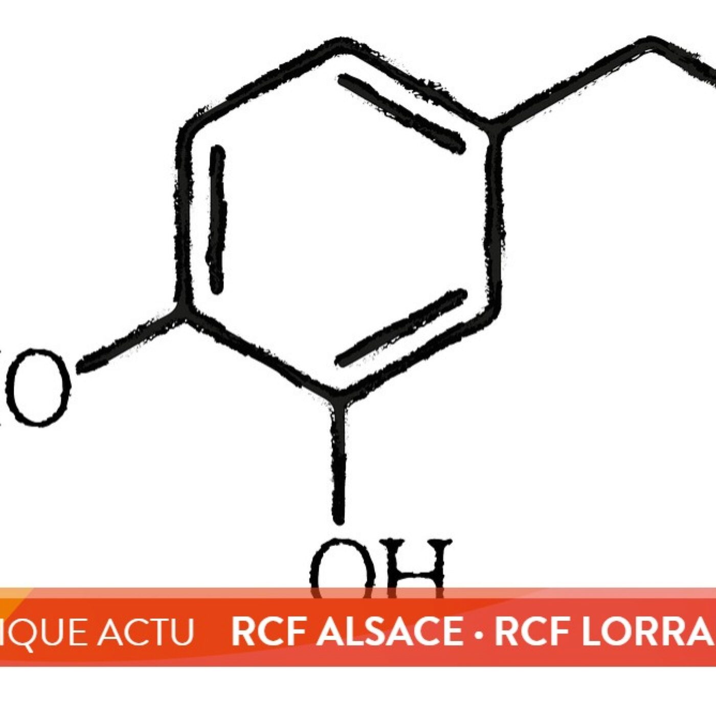 La dopamine, molécule géniale au rôle vital episode artwork