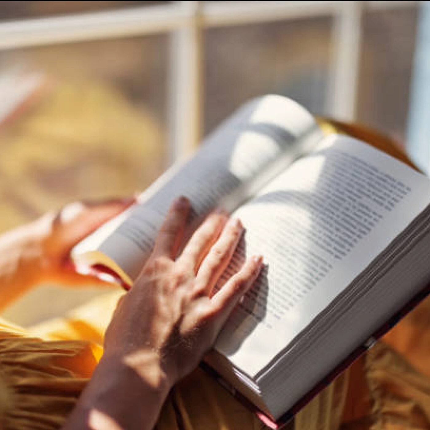 Regards sur l\'actualité