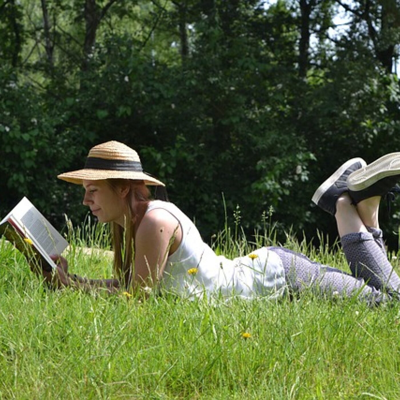 Les livres de l\'été