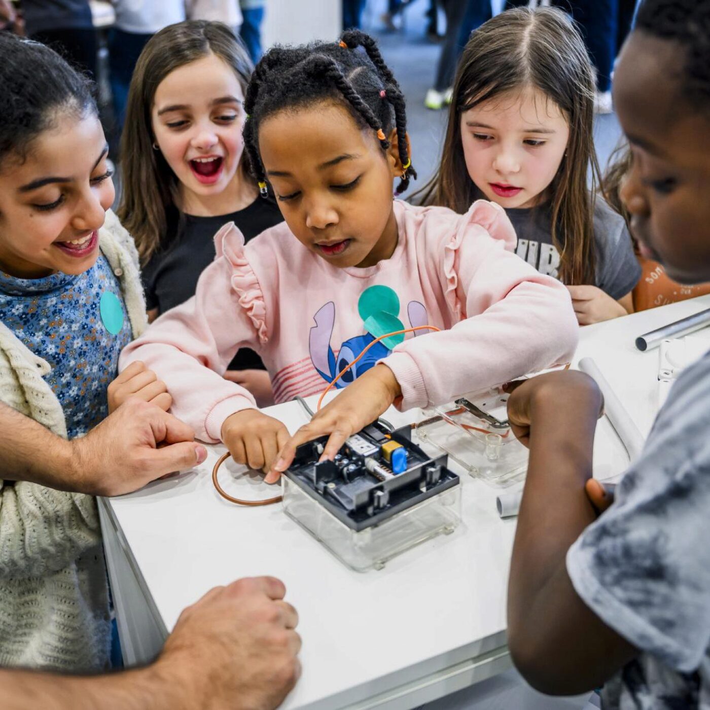 Le salon MINT, les singes vervets et les déserts