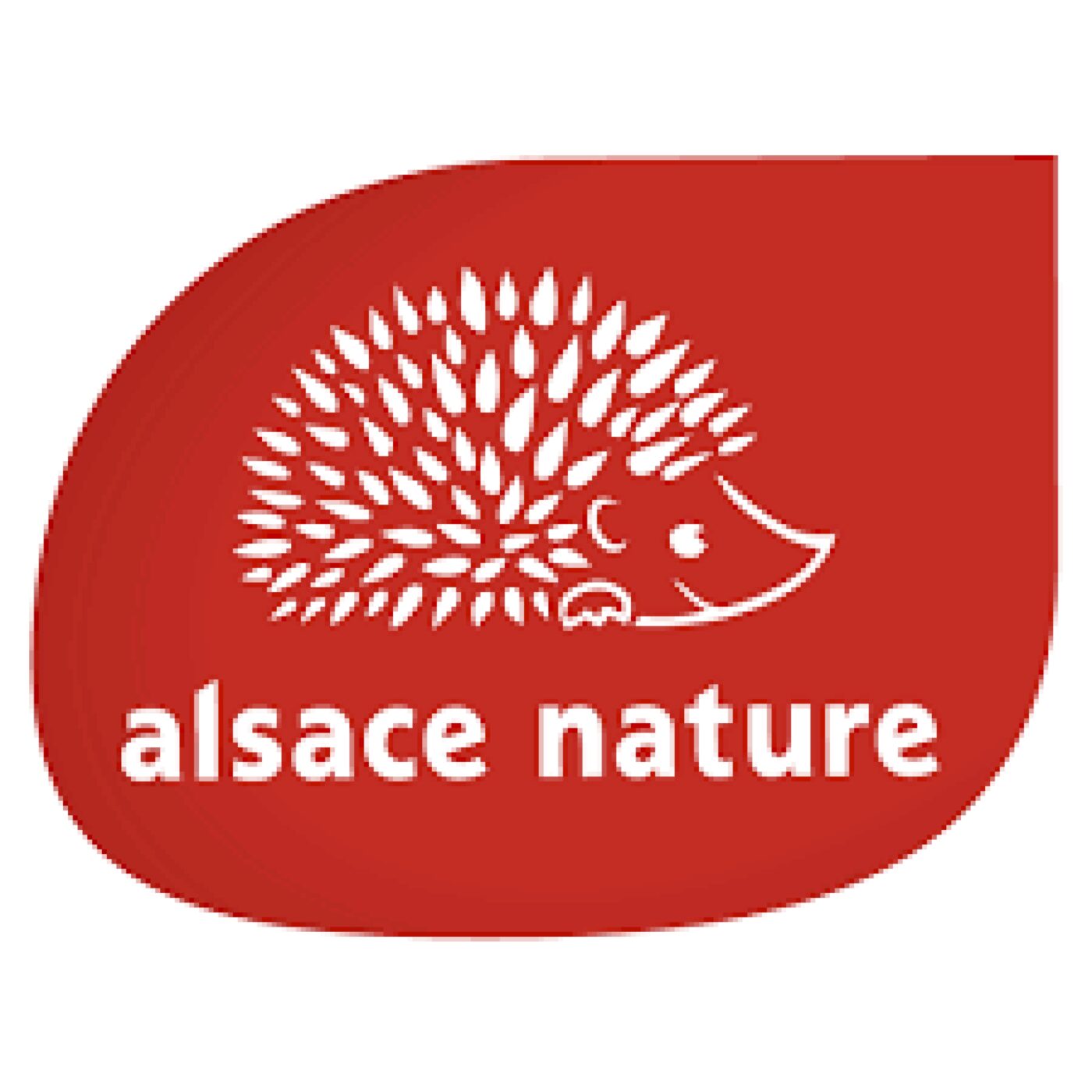 Chronique Actu · RCF Alsace · Lorraine Nancy · Jerico Moselle