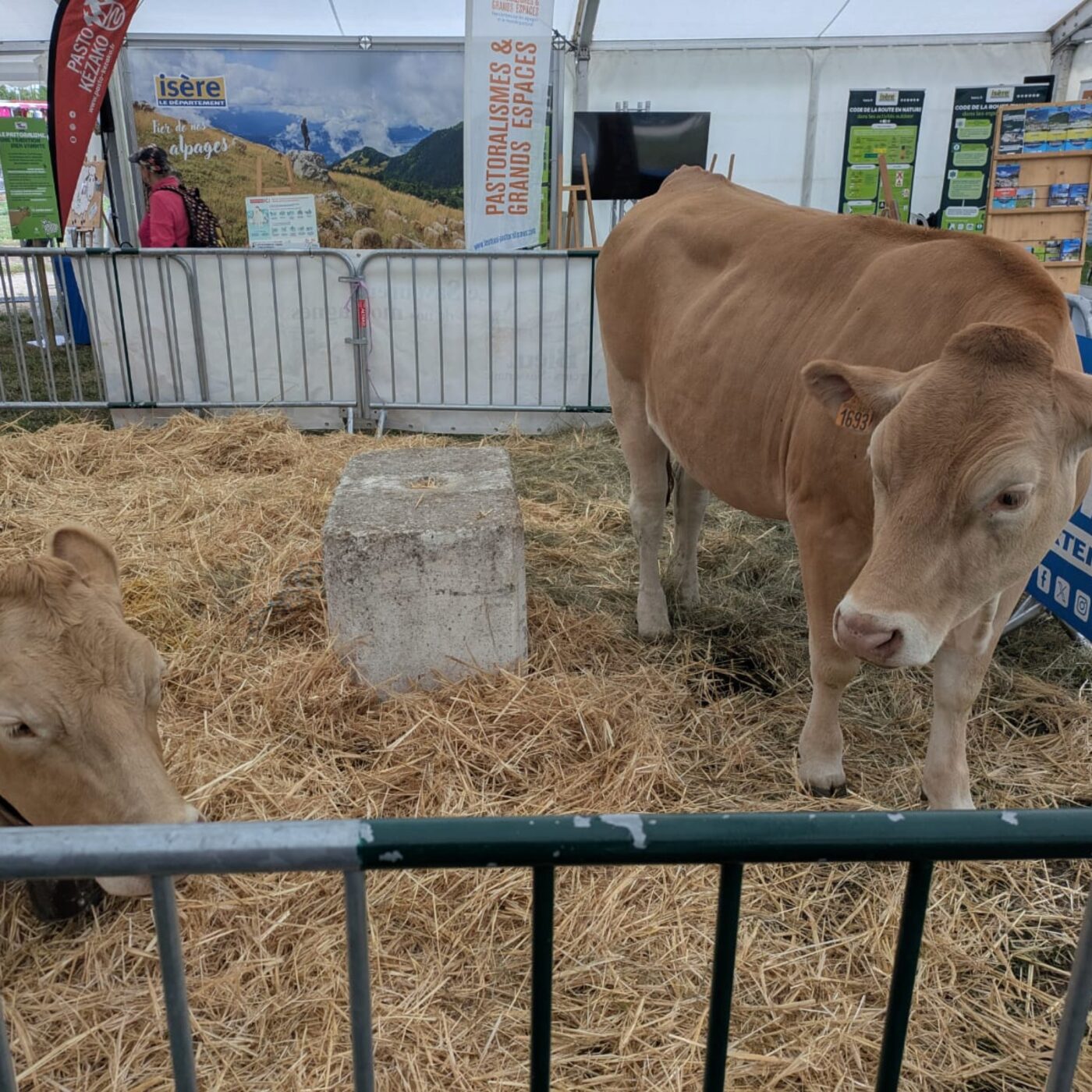 Top départ pour la 805e édition de la Foire de Beaucroissant episode artwork