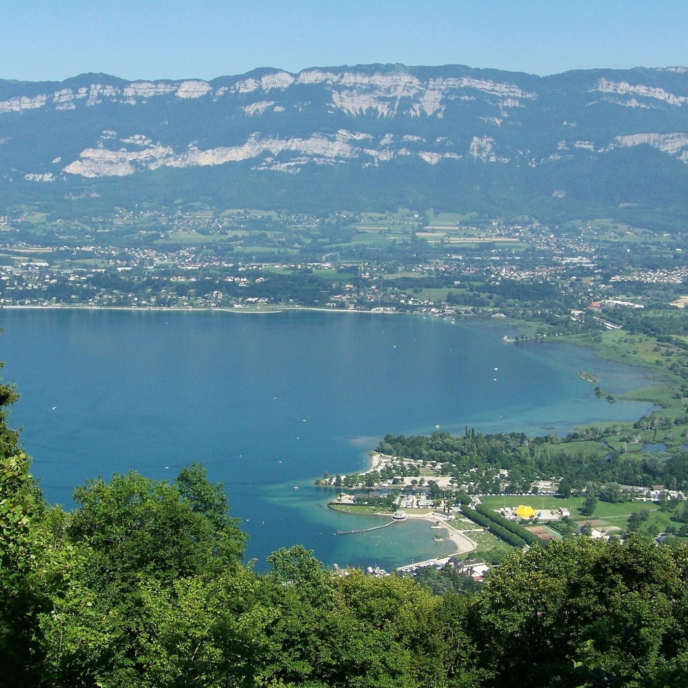 Lac du Bourget : les poissons sont-ils encore nombreux ? episode artwork