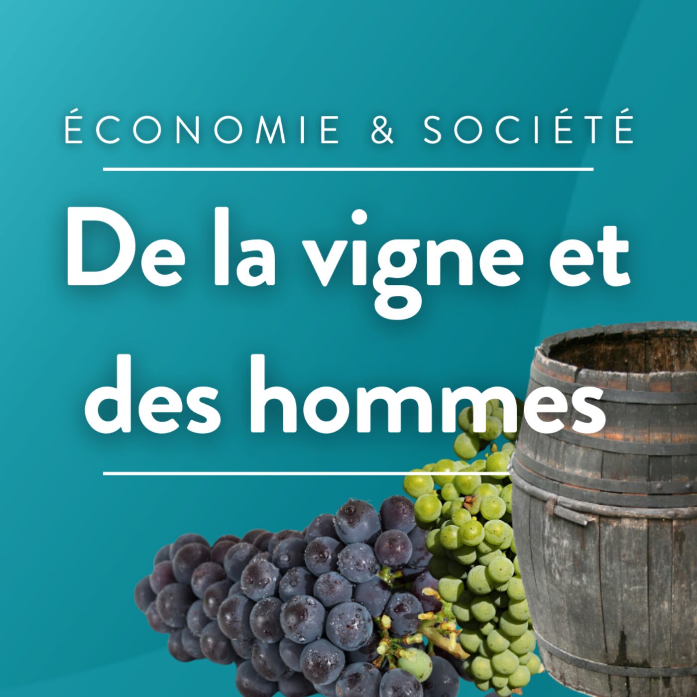 De la vigne et des hommes