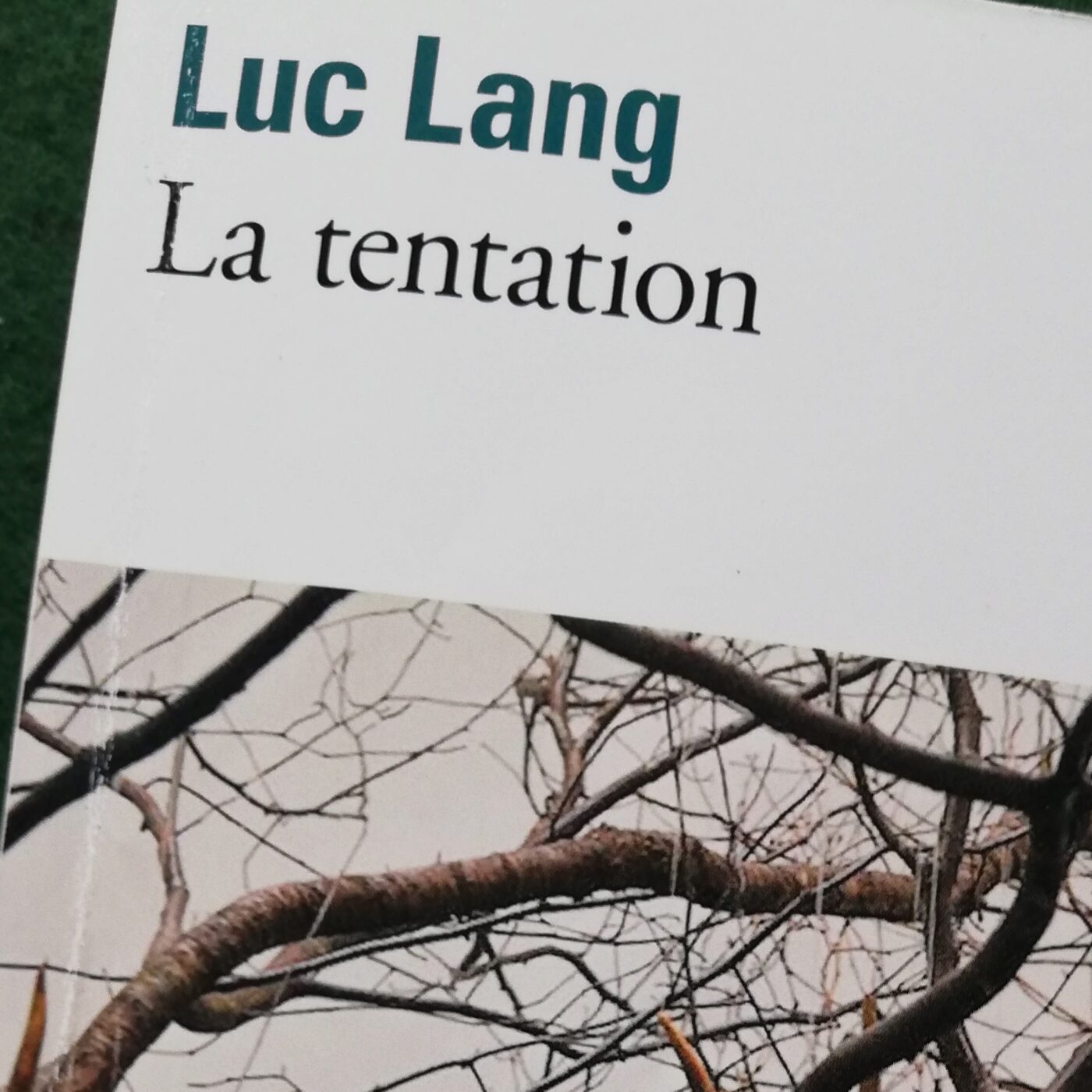 Boîte à livres