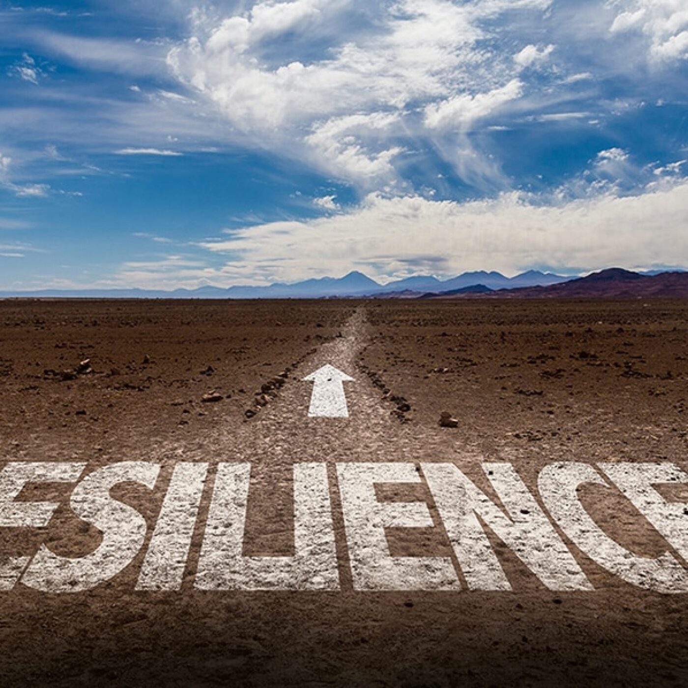 La résilience et le lien social au coeur des organisations