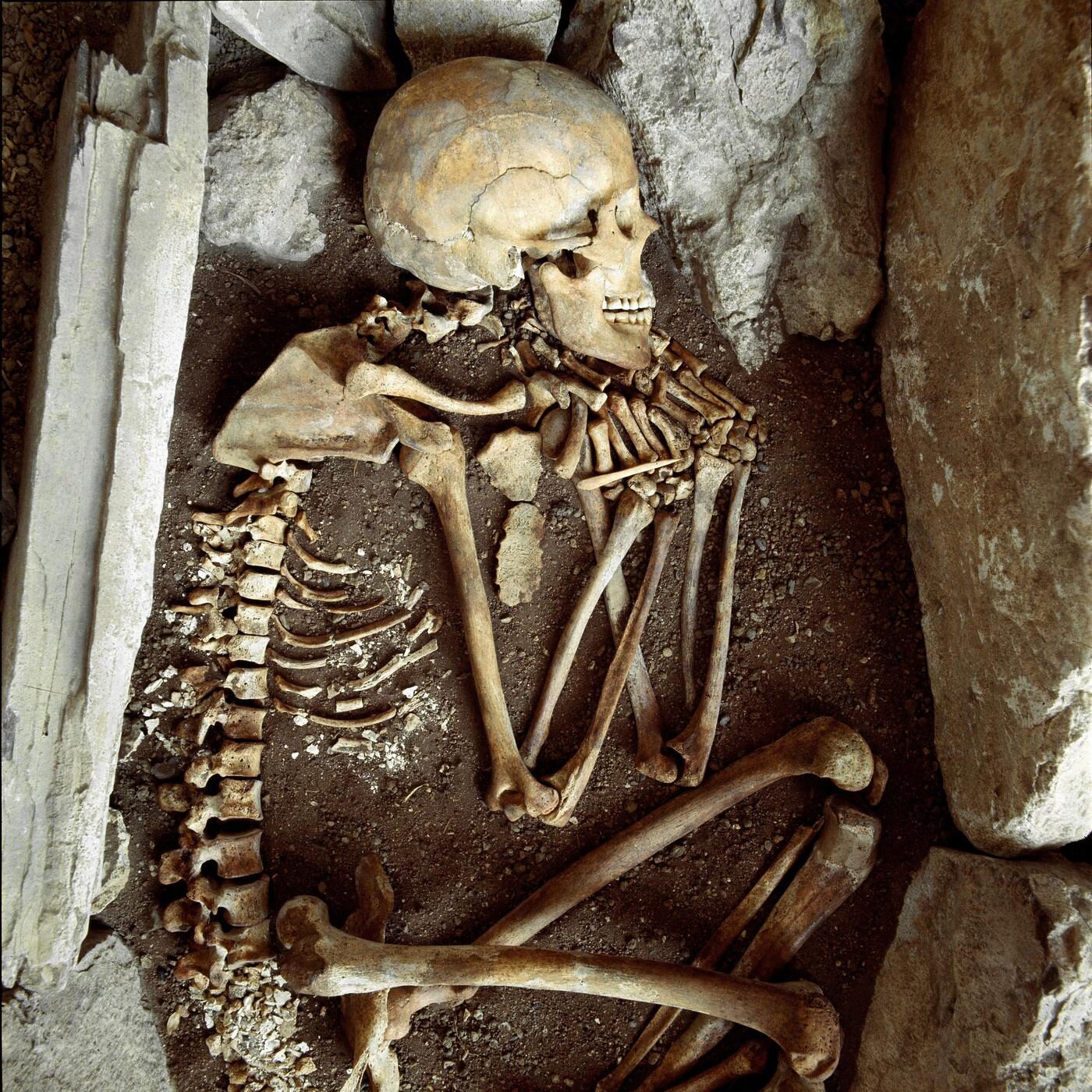 Le rôle des genres, la fratrie et la santé mentale, des plantes rares et l'odorat