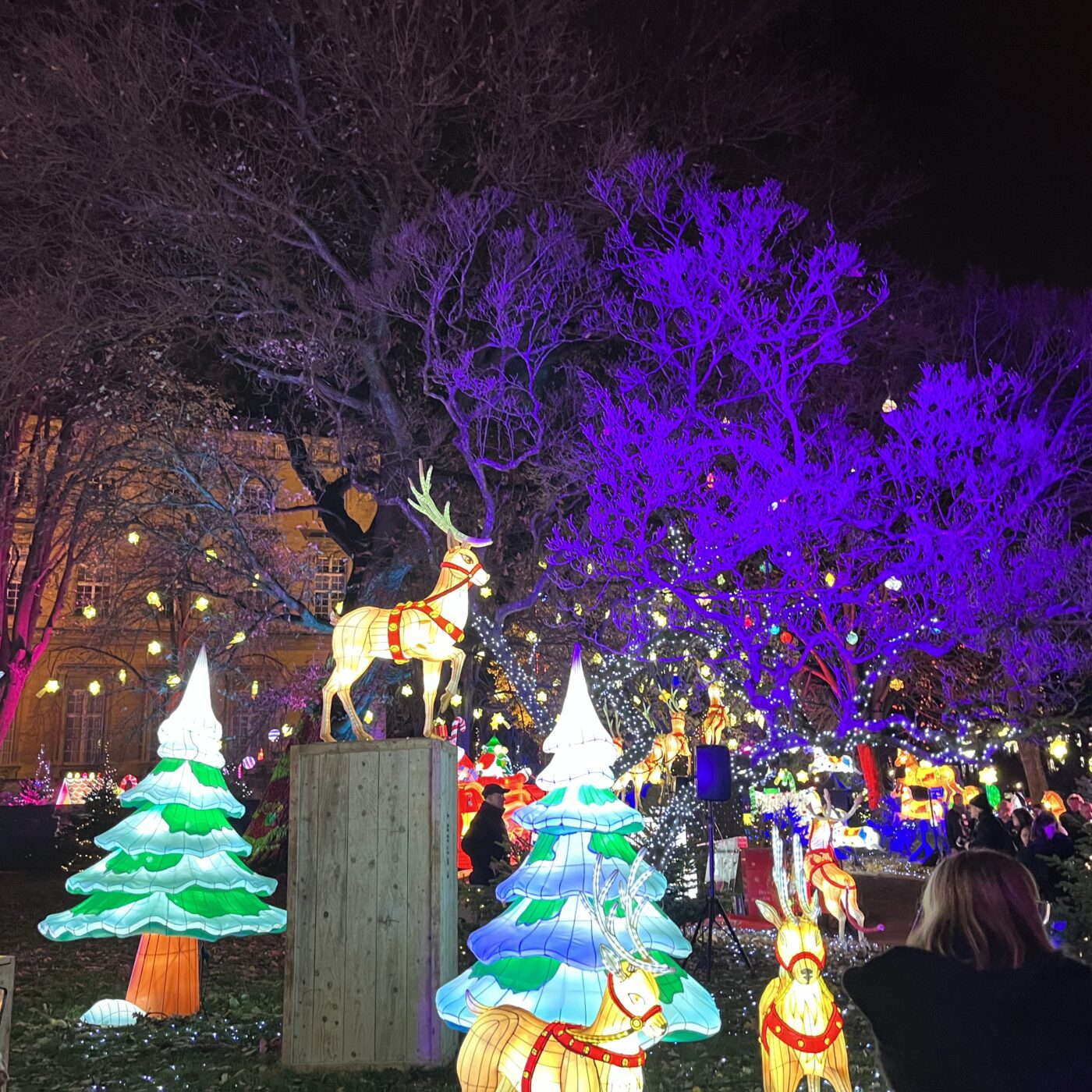 La magie de Noël en Moselle, à Metz et Meisenthal episode artwork