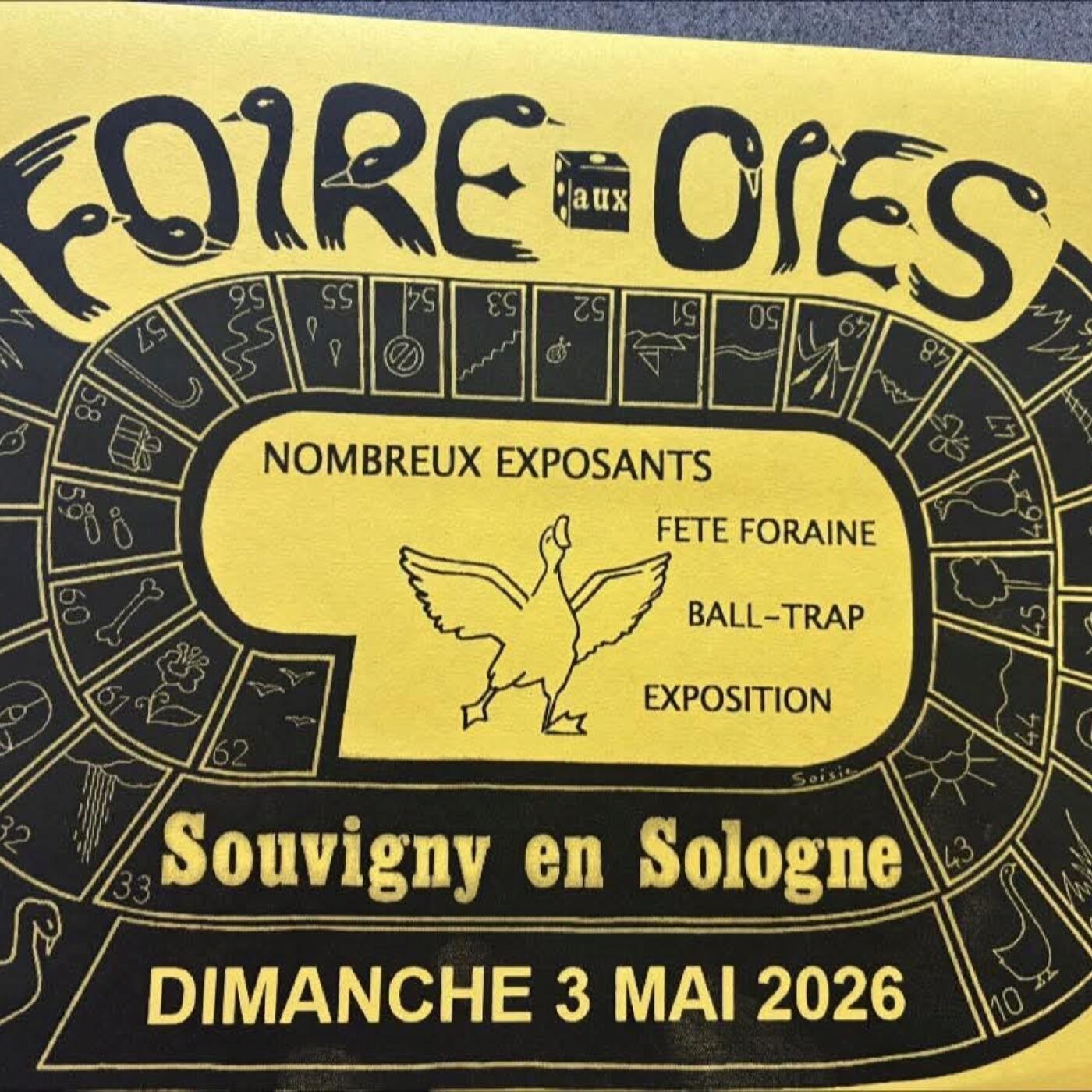 La foire aux oies de Souvigny en Sologne episode artwork