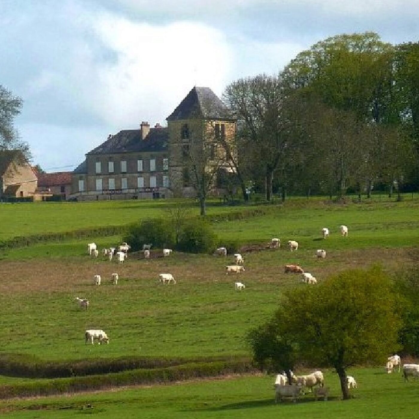 Architecture et cadre de vie