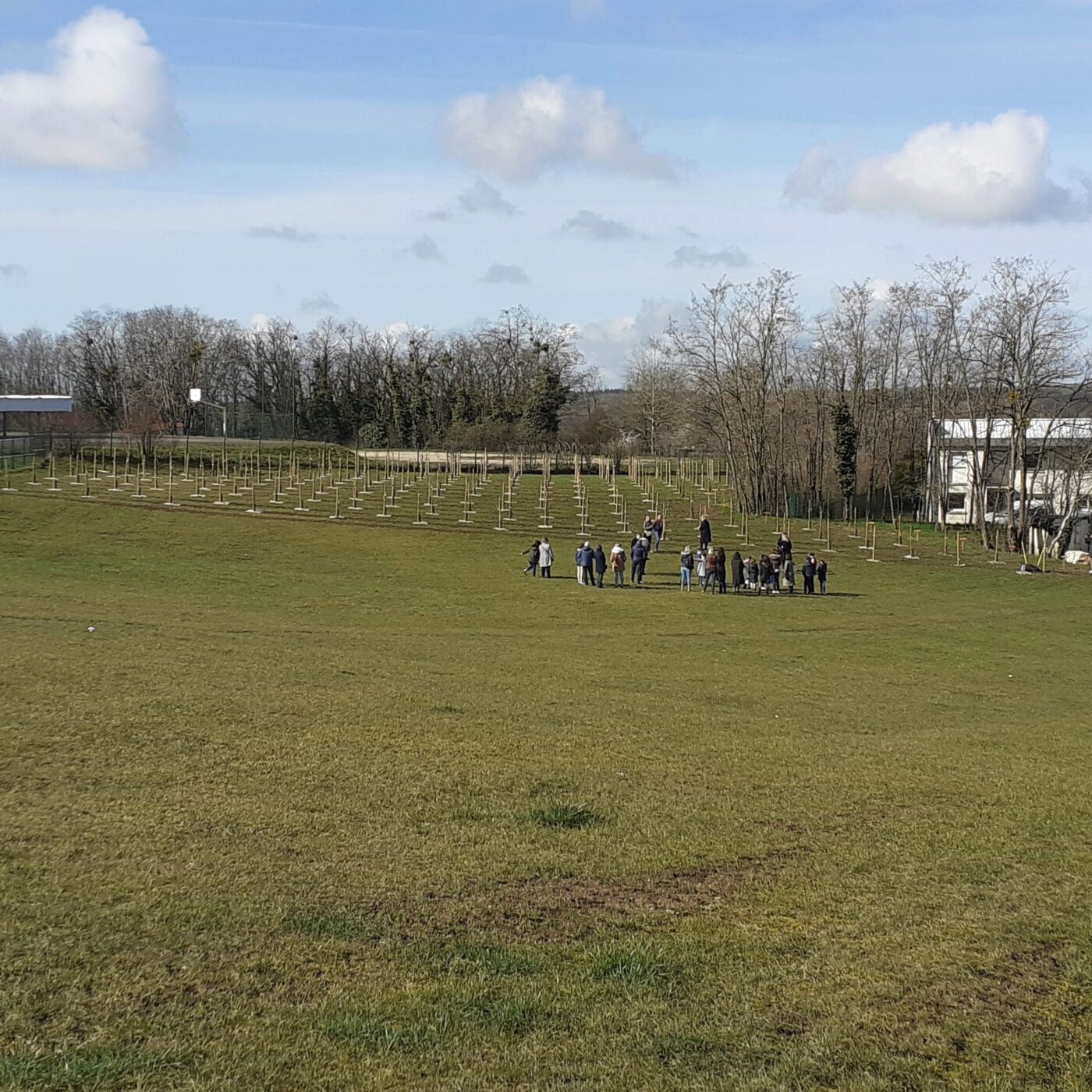 La forêt urbaine du Val Fleuri à Dole episode artwork