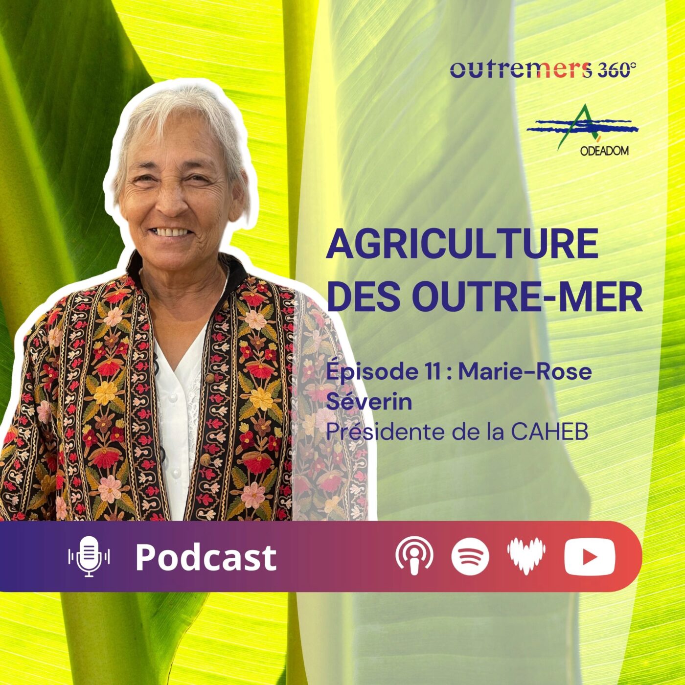 Agriculture des Outre-mer