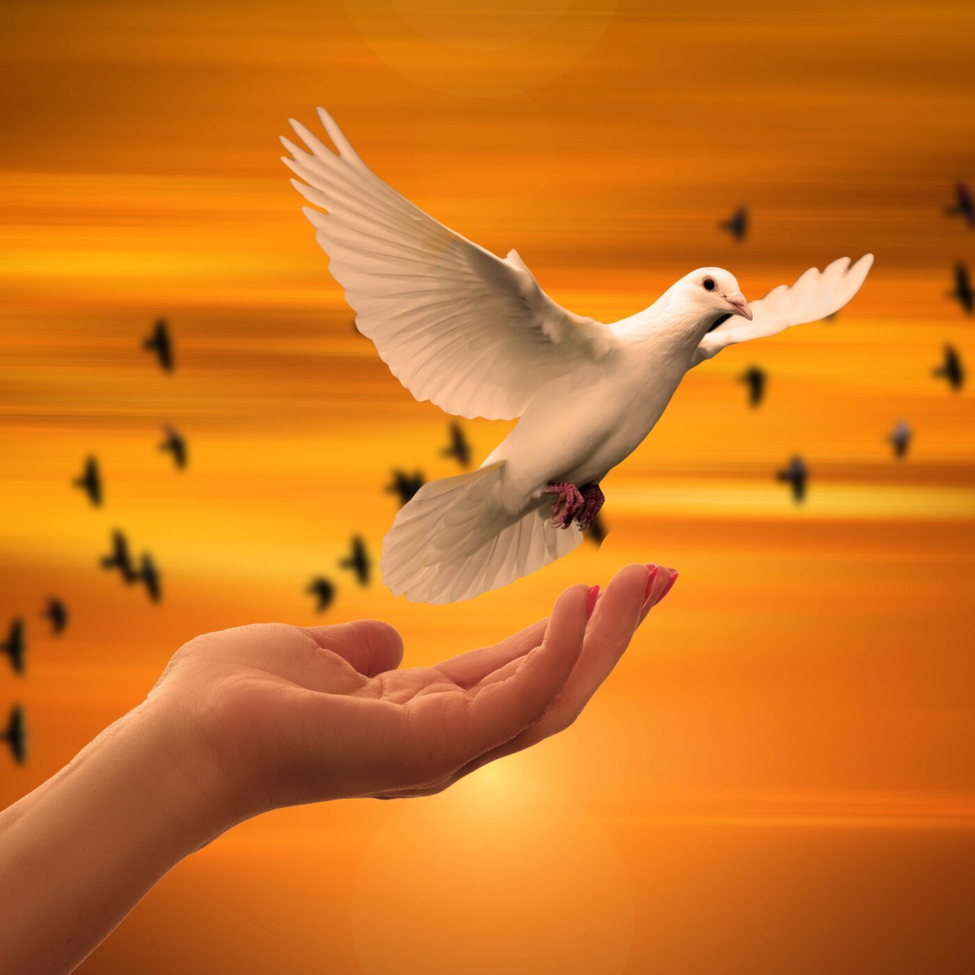 Quels sont les outils pour transmettre la foi aux enfants ?