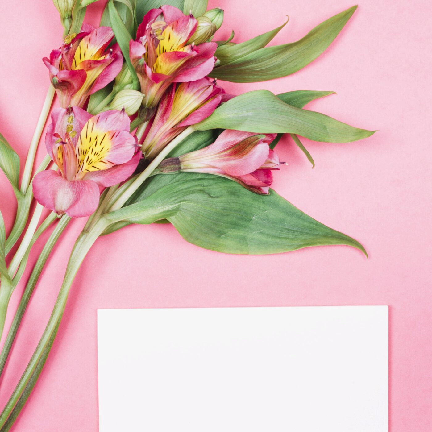 Tu me remercieras plus tard