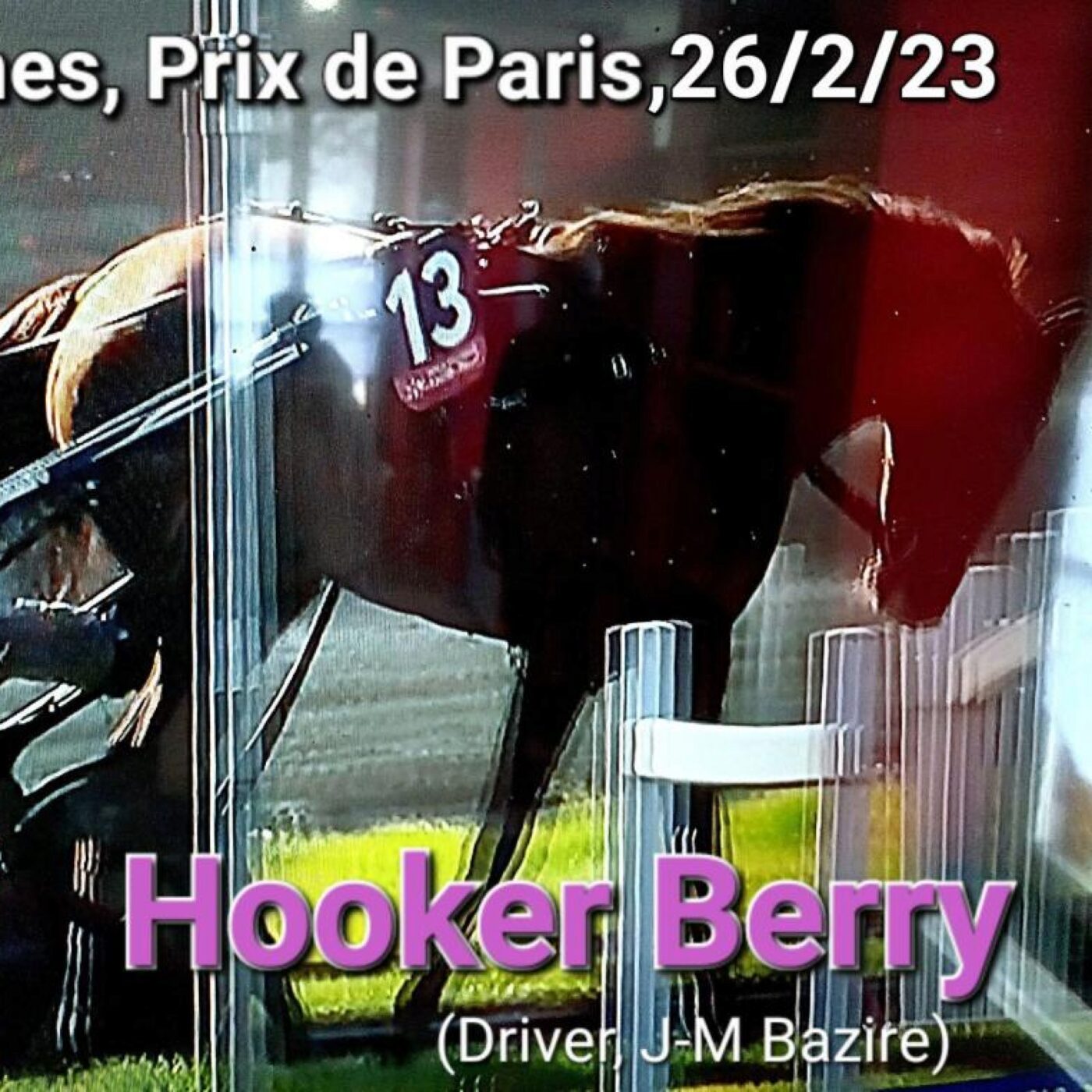 Un cheval berrichon vainqueur du Grand Prix d'Amérique episode artwork