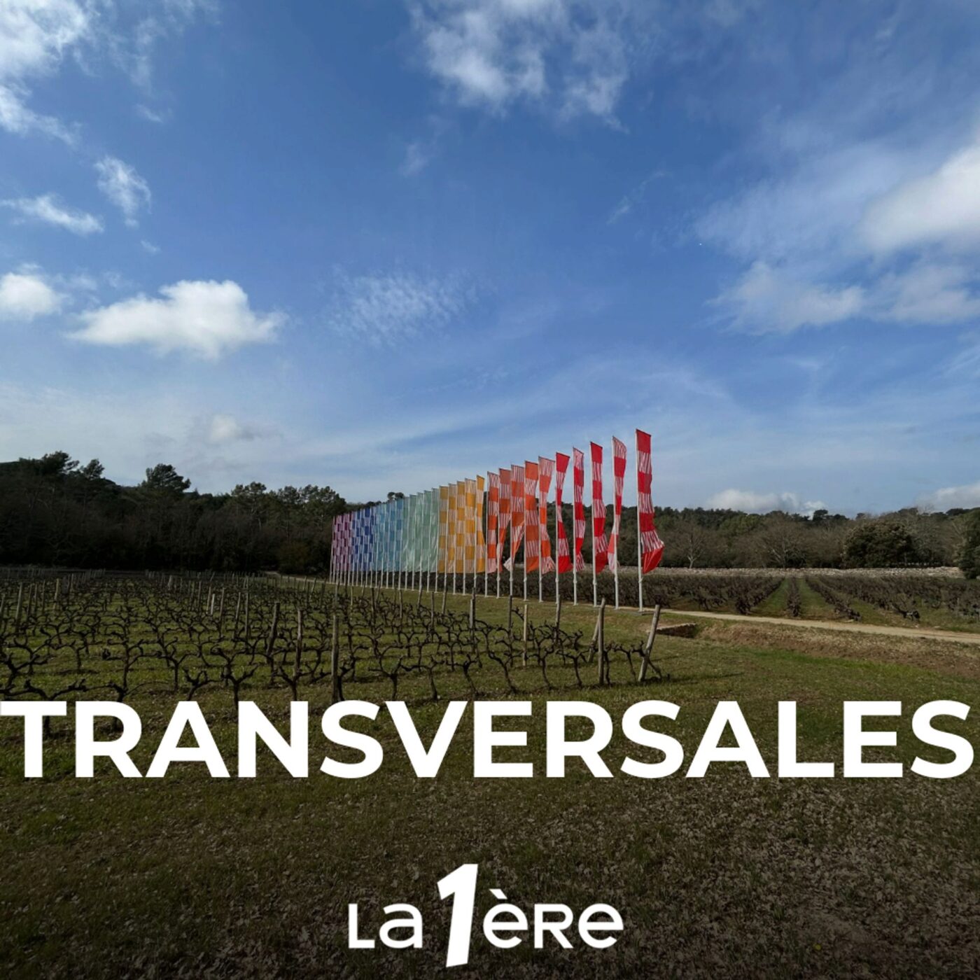 Transversales - reportages et documentaires