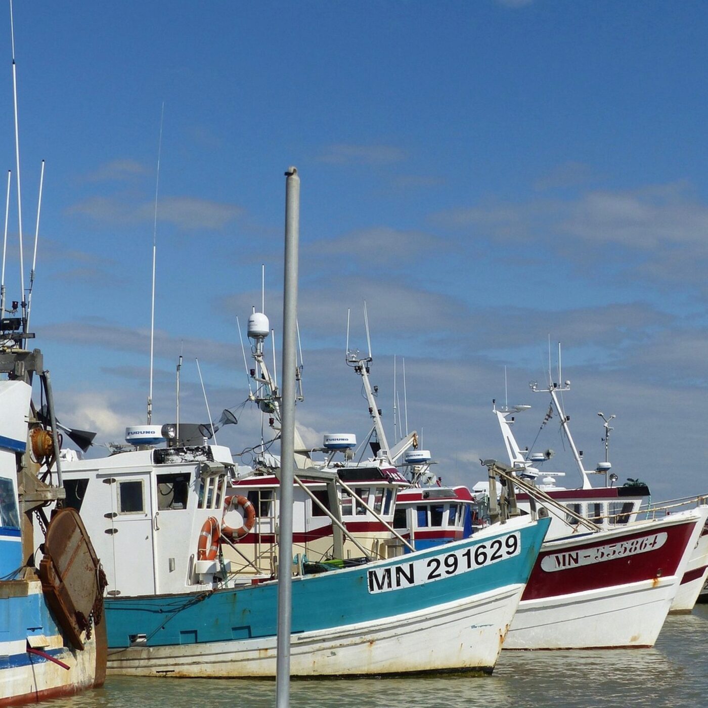 Le grand invité du matin