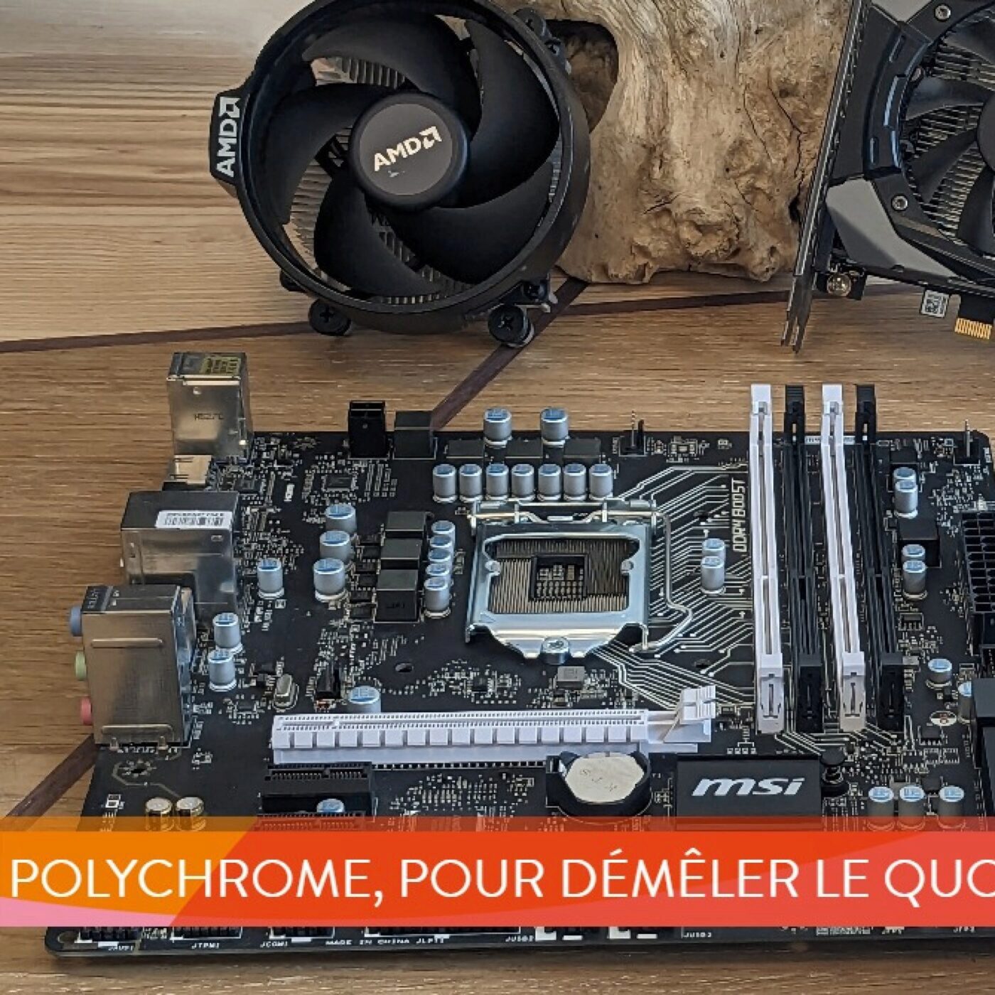 Polychrome, pour démêler le quotidien