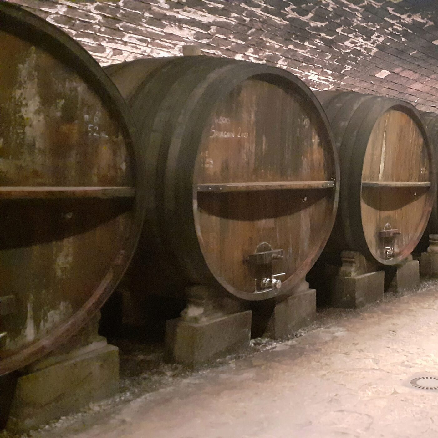 Le Domaine de la Pinte d'Arbois développe son activité oenotouristique episode artwork