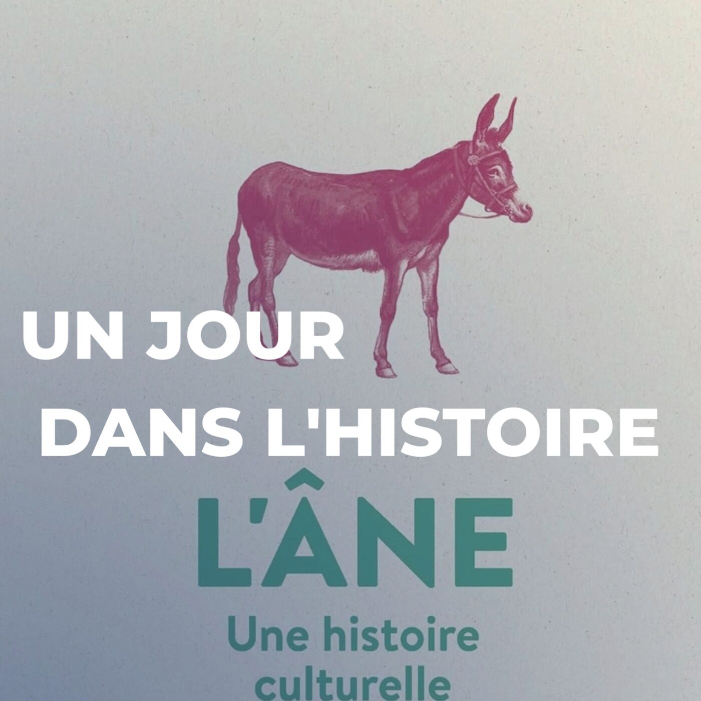 L'âne, entre humilité et dérision : une histoire de ses représentations en Occident