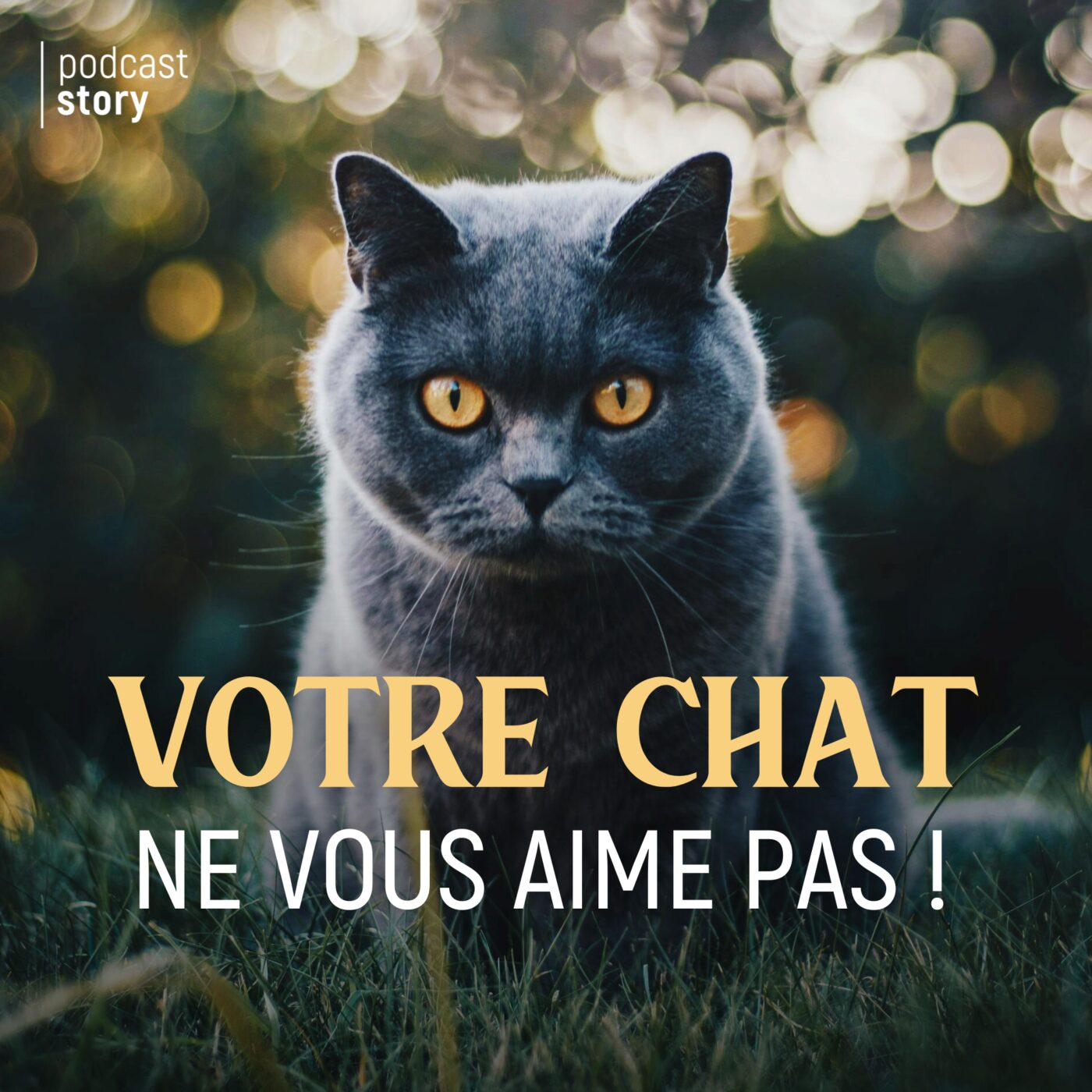 Votre chat ne vous aime pas !  episode artwork